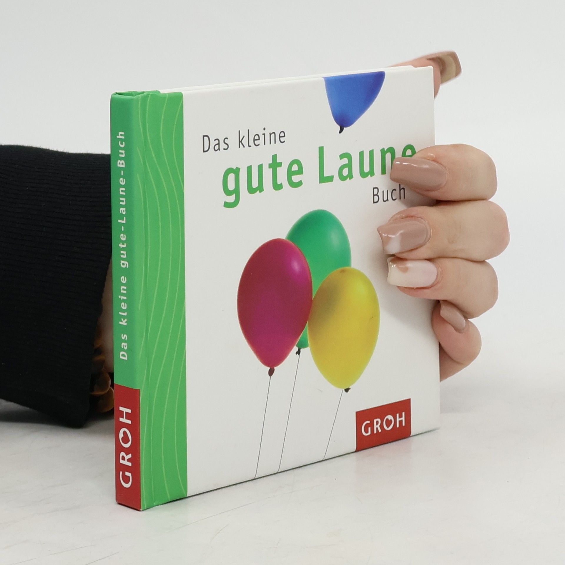 Celeste Marin Das kleine gute Laune Buch