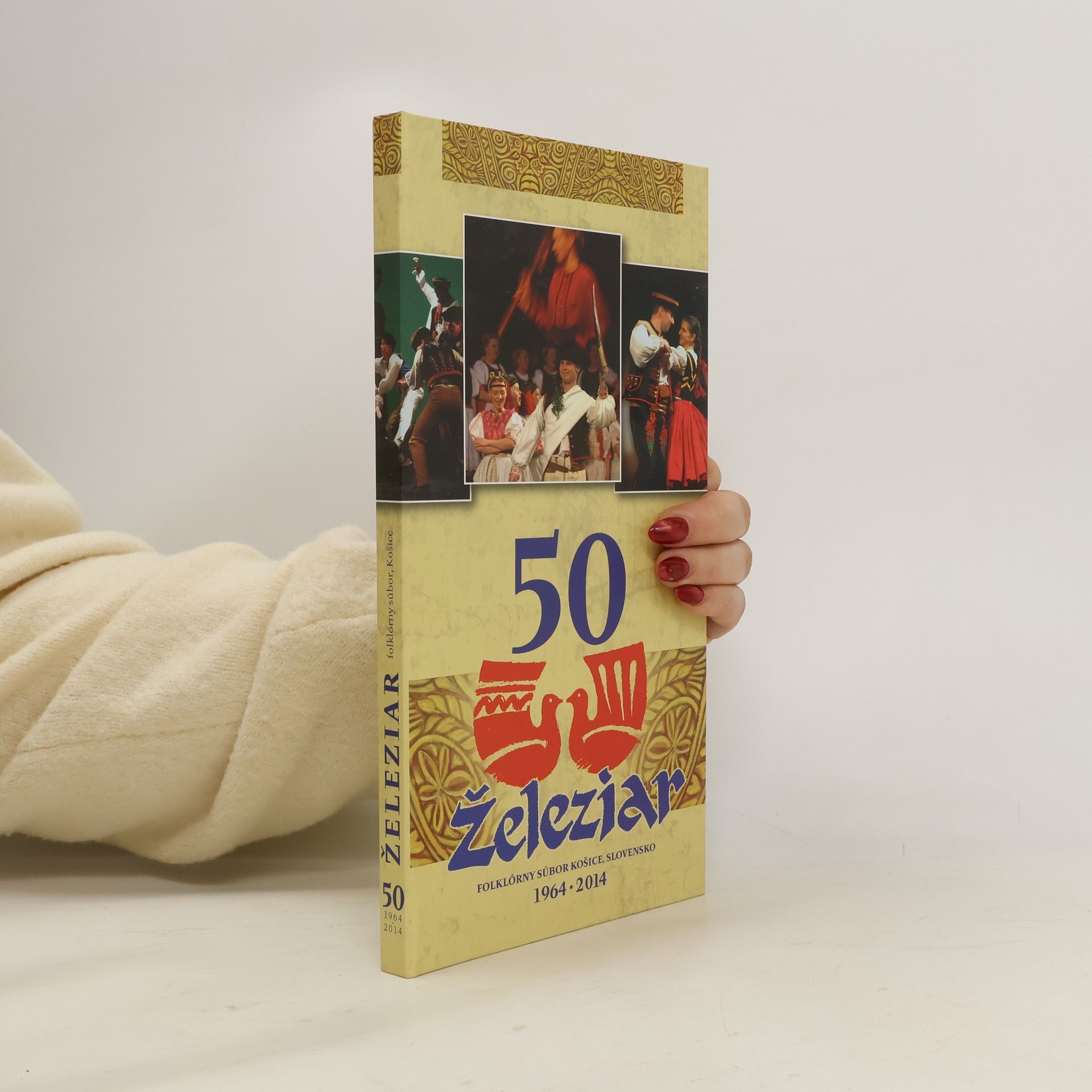 Kolektiv autorů  50 Železiar