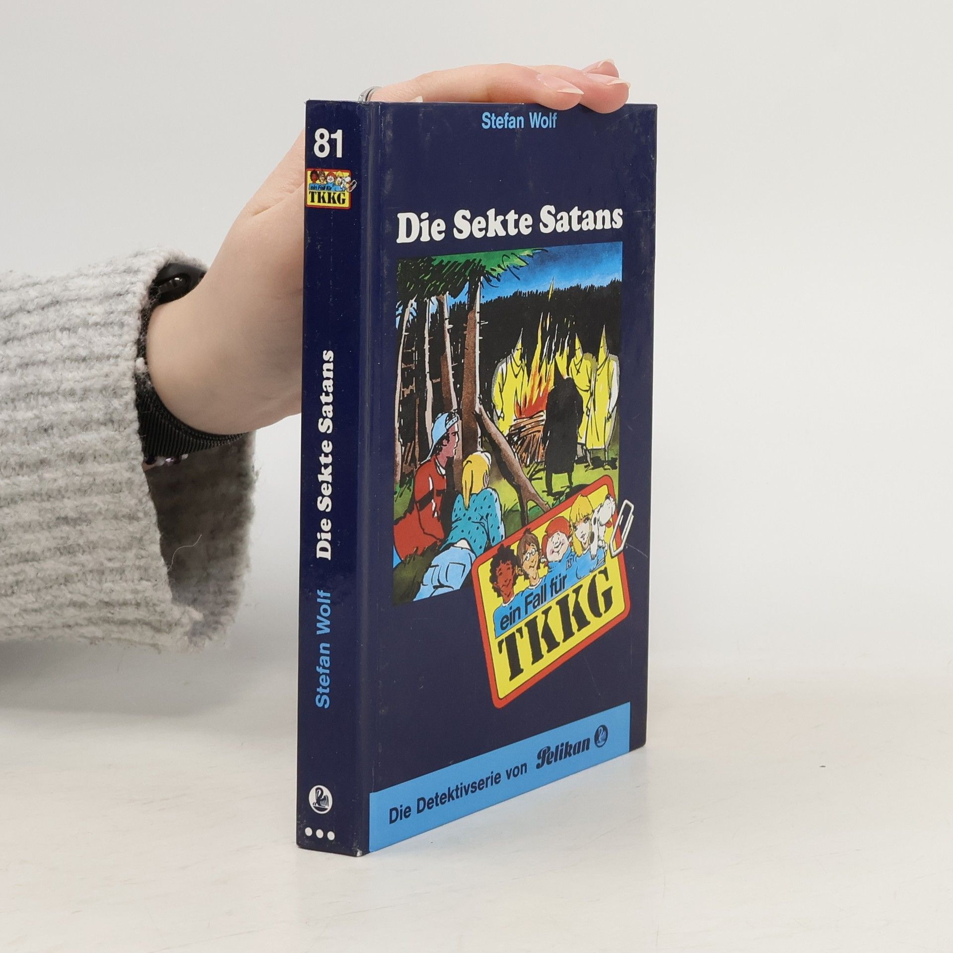 Stefan Wolf Ein Fall für TKKG: Die Sekte Satans