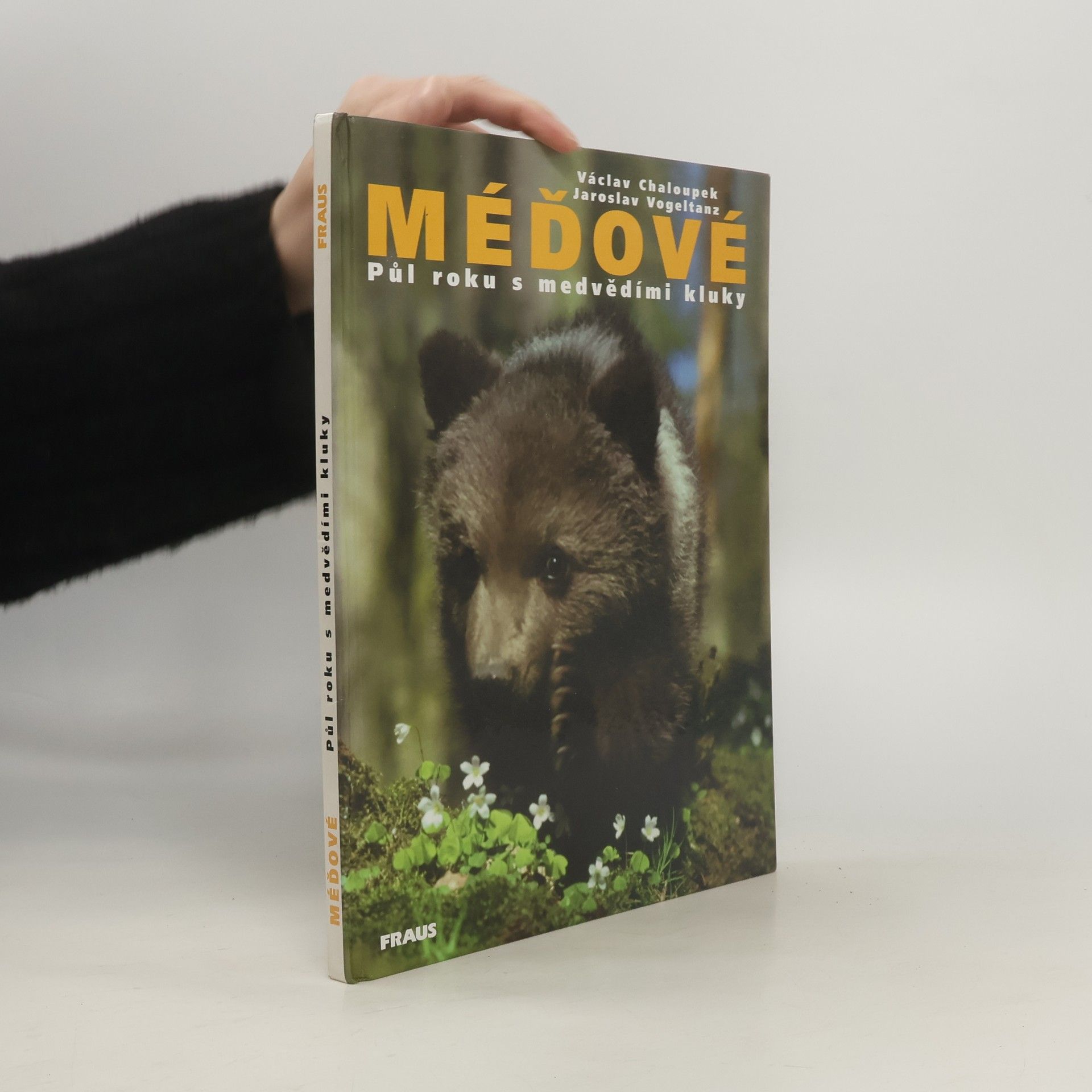 Václav Chaloupek Méďové. Půl roku s medvědími kluky