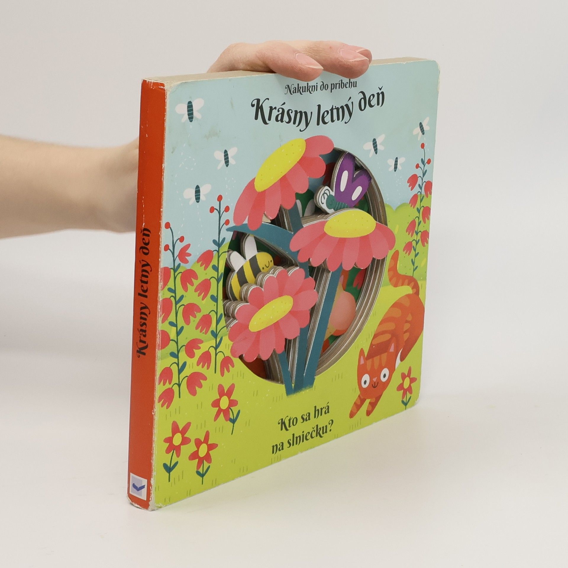 Anne Passchier Krásný letný deň