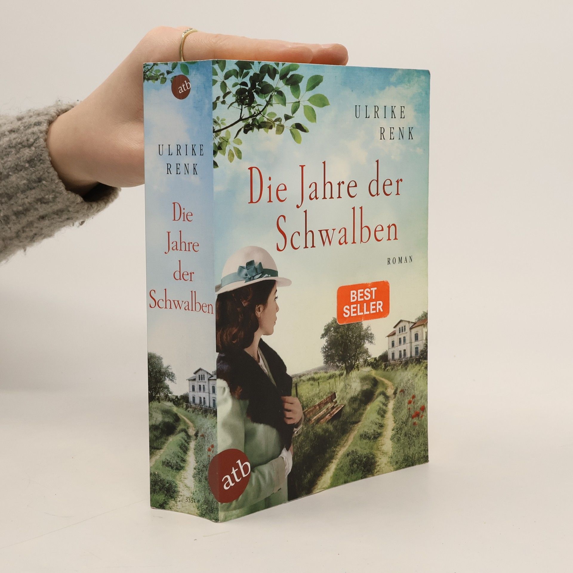 Ulrike Renk Die Jahre der Schwalben