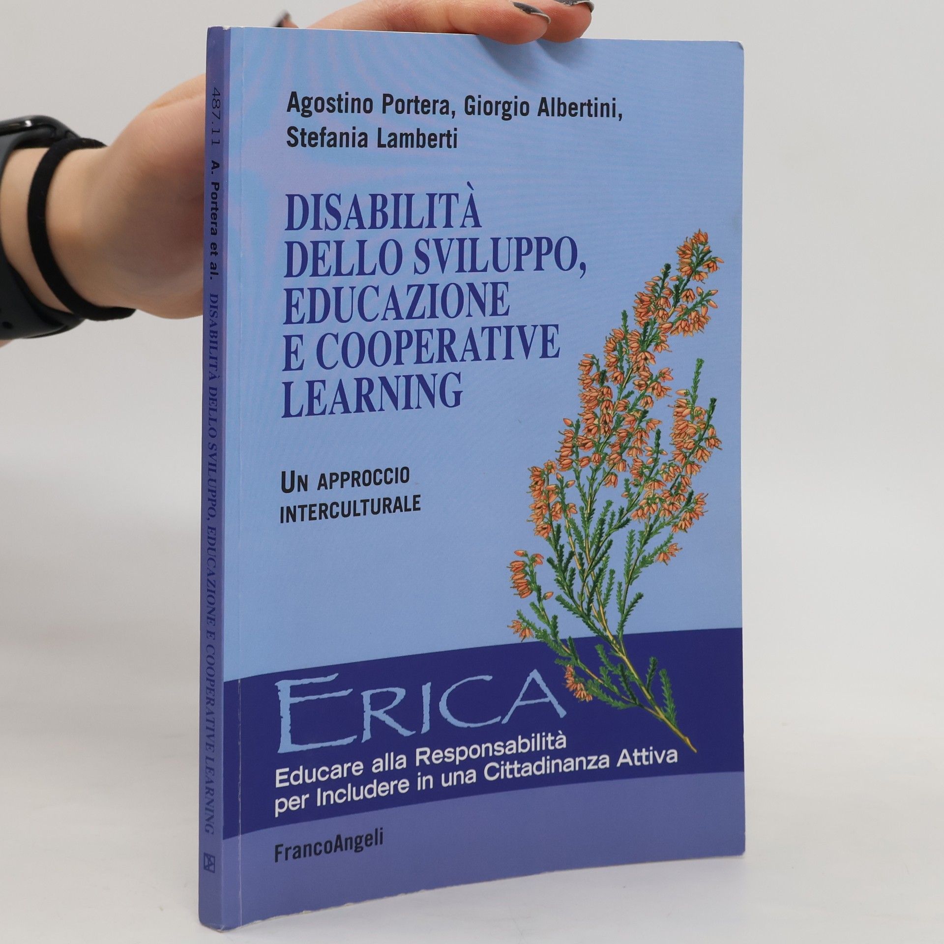 Erica - 11: Disabilità dello sviluppo, educazione e cooperative learning. Un approccio interculturale