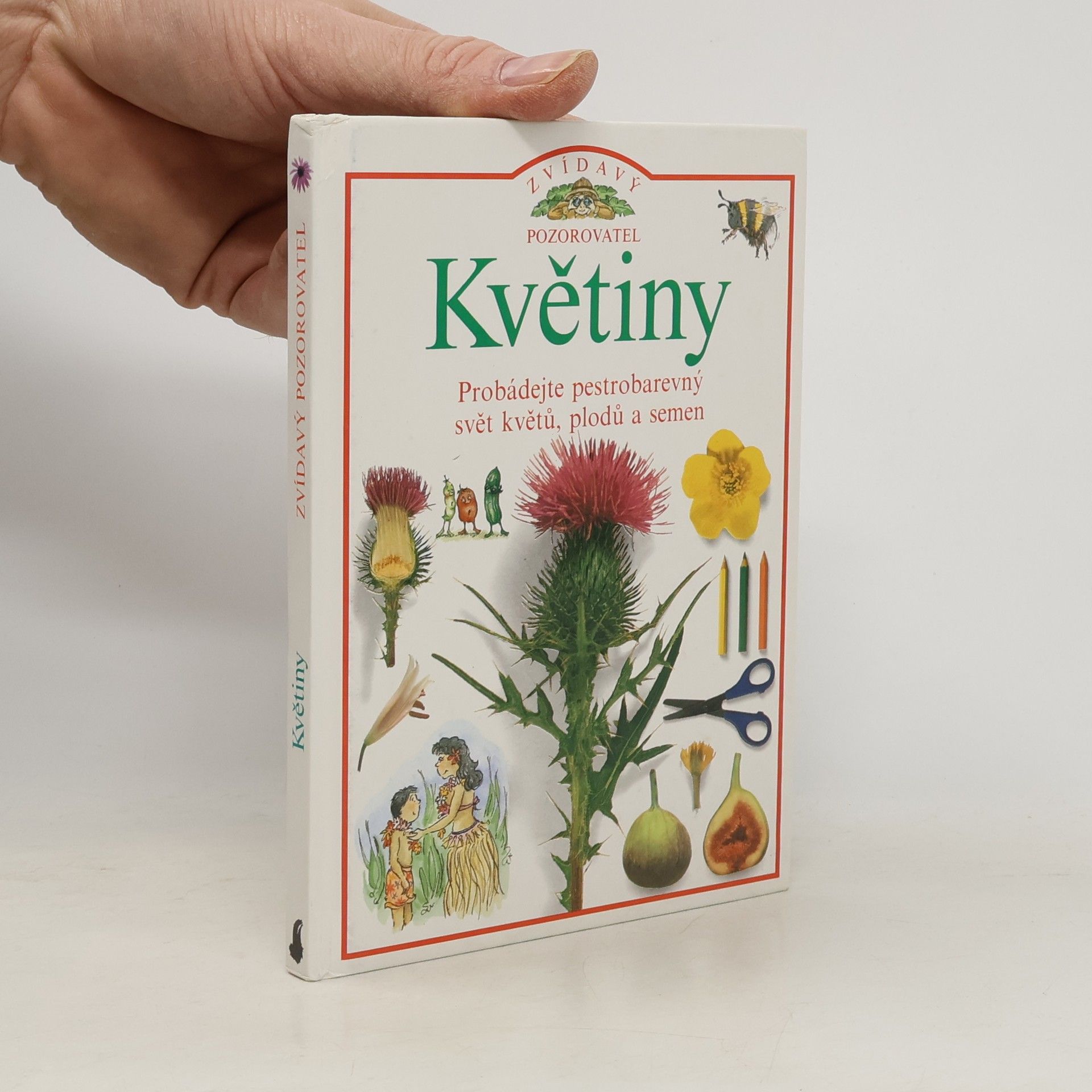 David Burnie Květiny