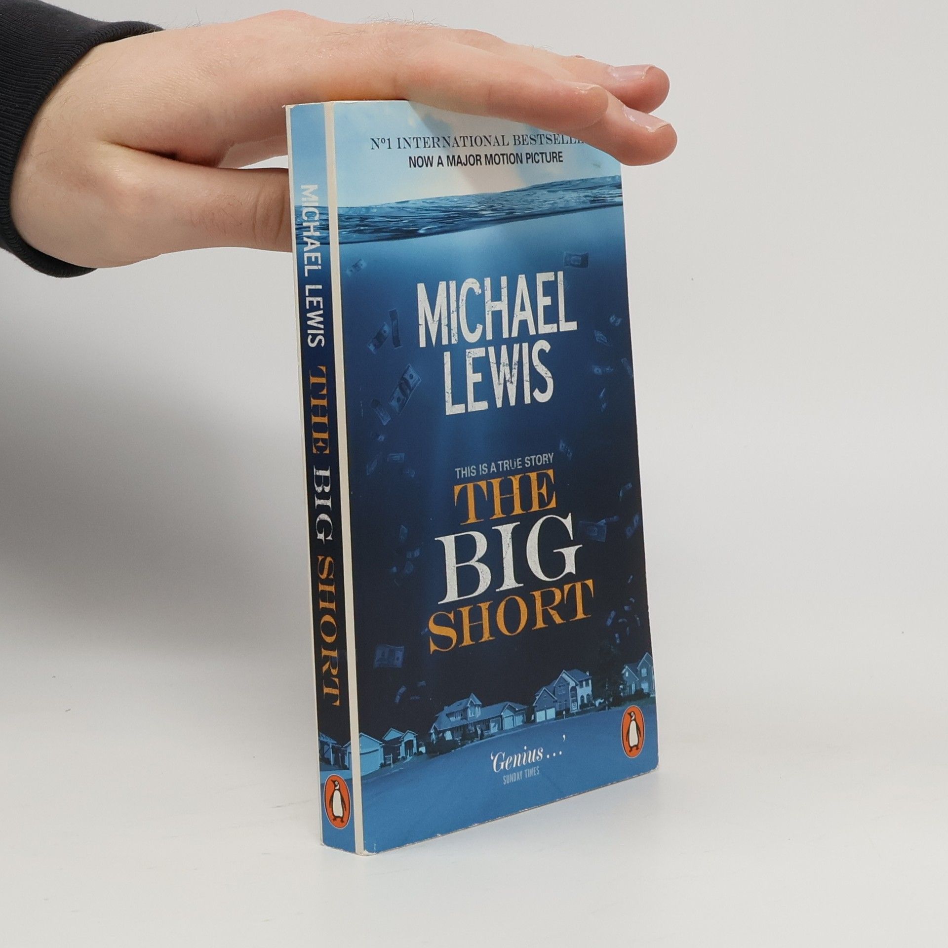 Michael Lewis The big short : inside the doomsday machine