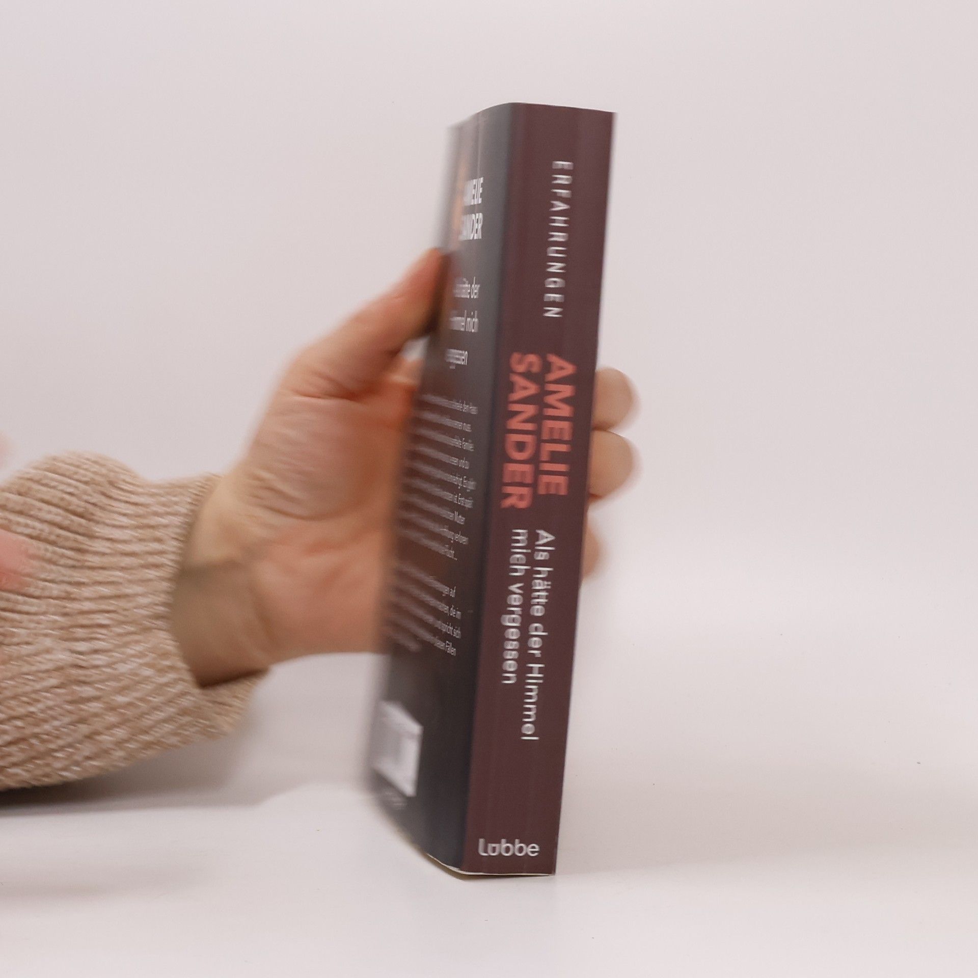 Amelie Sander Als hätte der Himmel mich vergessen