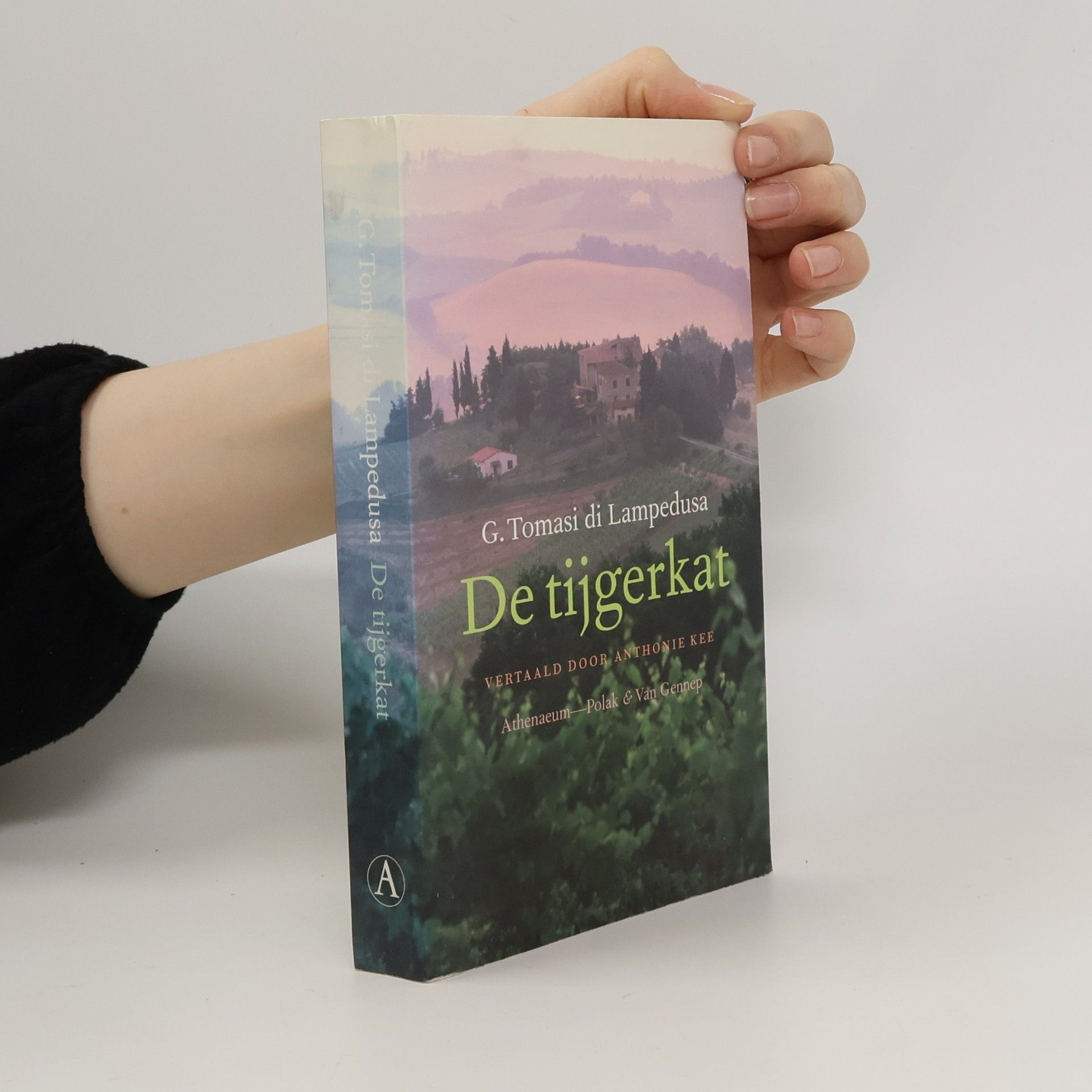 Giuseppe Tomasi di Lampedusa De tijgerkat