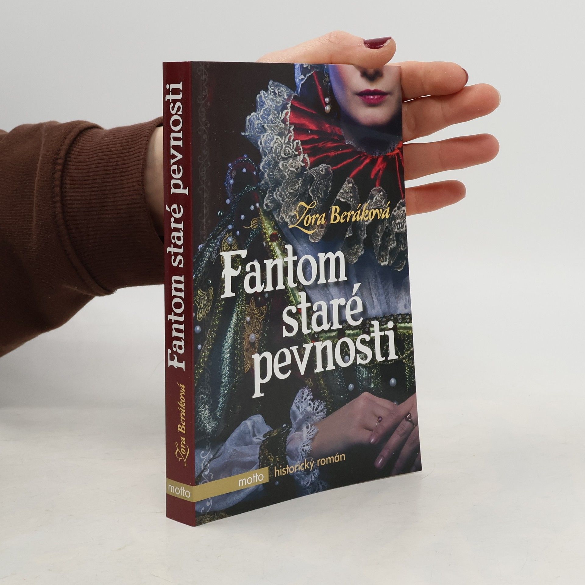 Fantom staré pevnosti : dobrodružný historický román