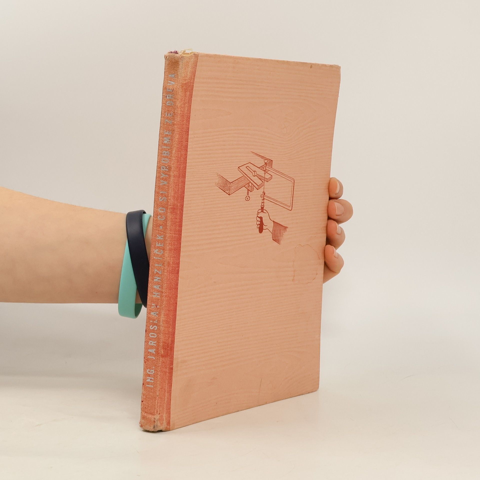 Jaroslav Hanzlíček Co si vyrobíme ze dřeva