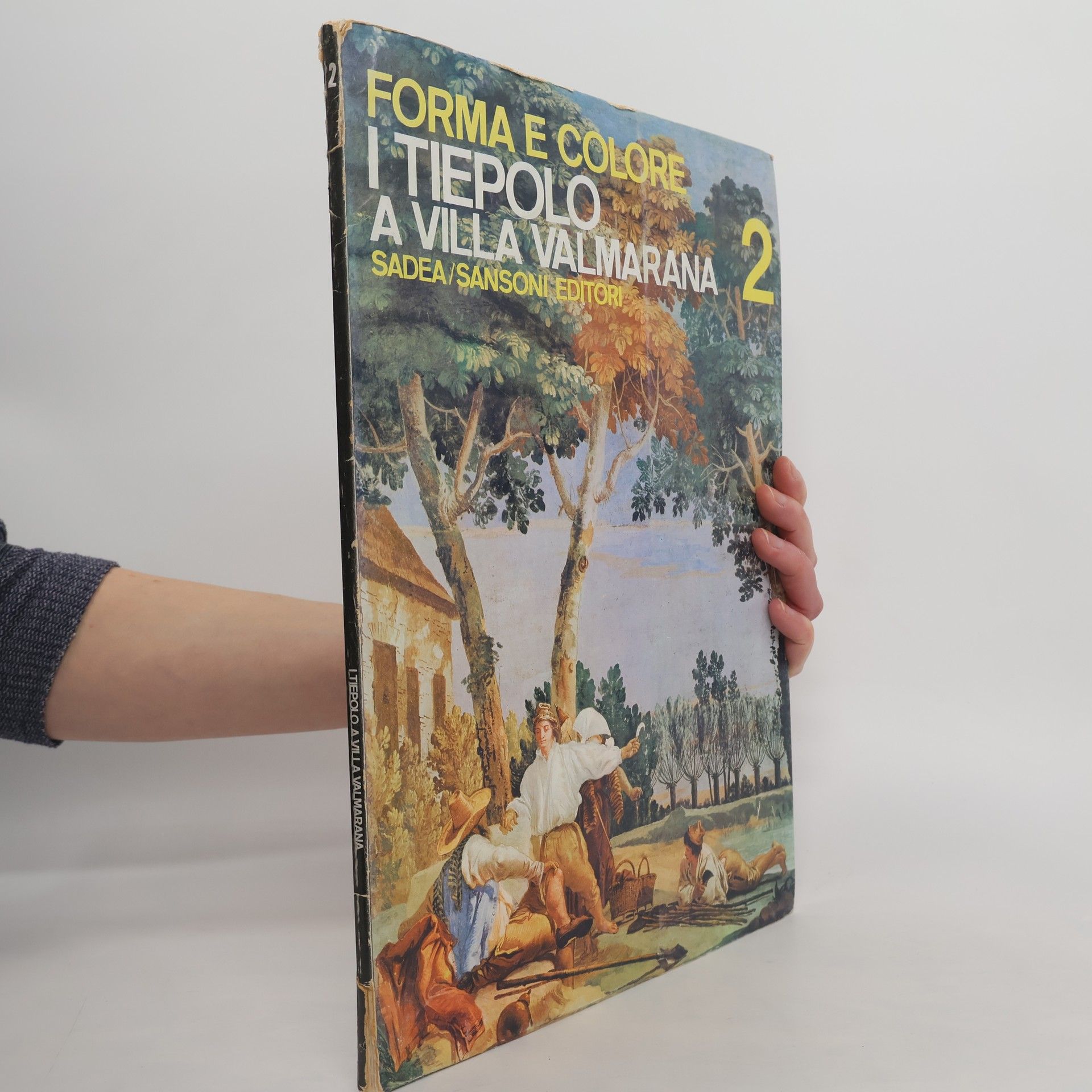 Renzo Chiarelli I Tiepolo a Villa Valmarana 2