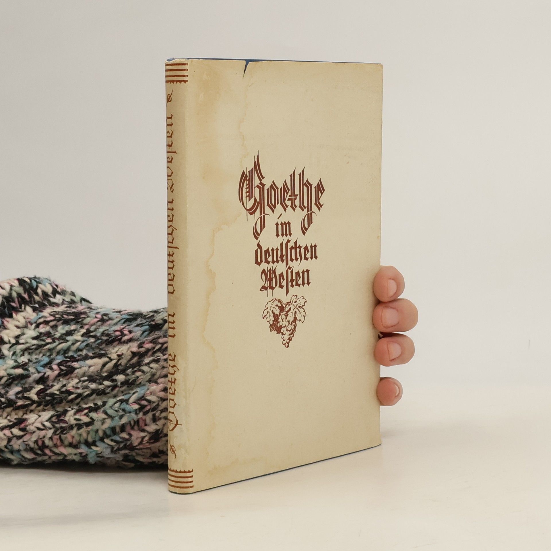 Johann Wolfgang von Goethe Goethe im deutschen Werken