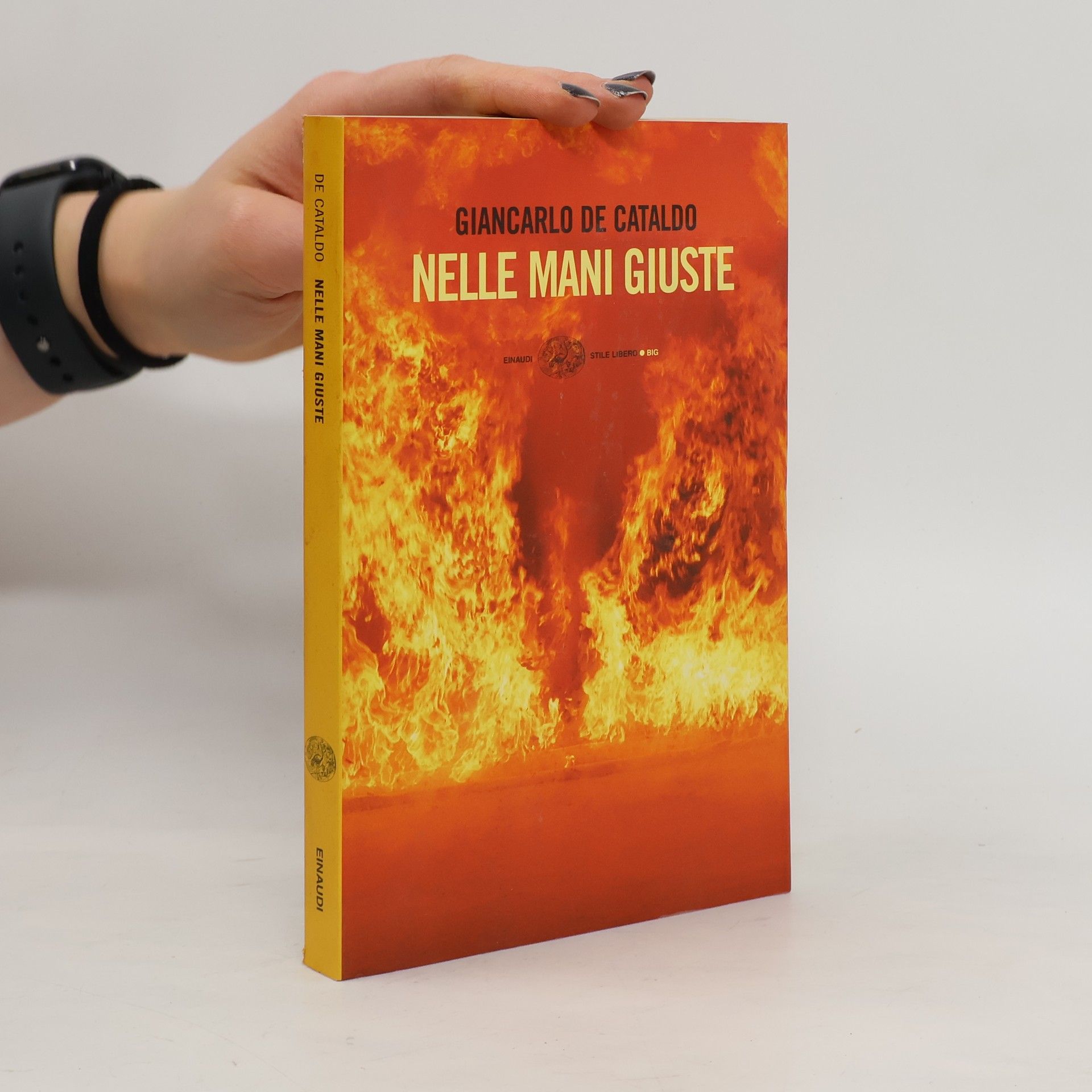 Giancarlo De Cataldo Stile Libero Big: Nelle mani giuste
