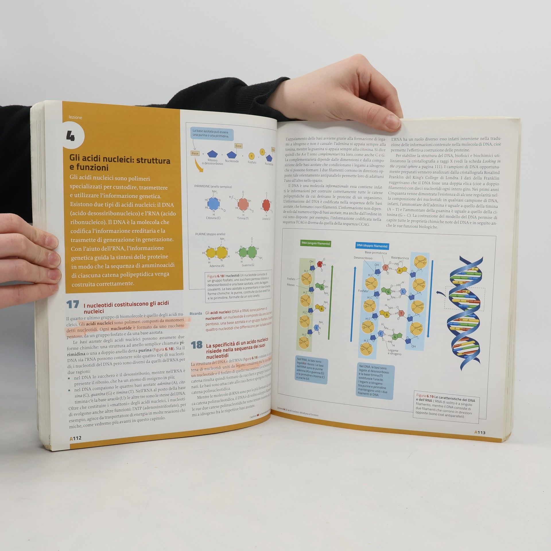 Kolektív autorov La nuova biologia.blu S. Multimediale