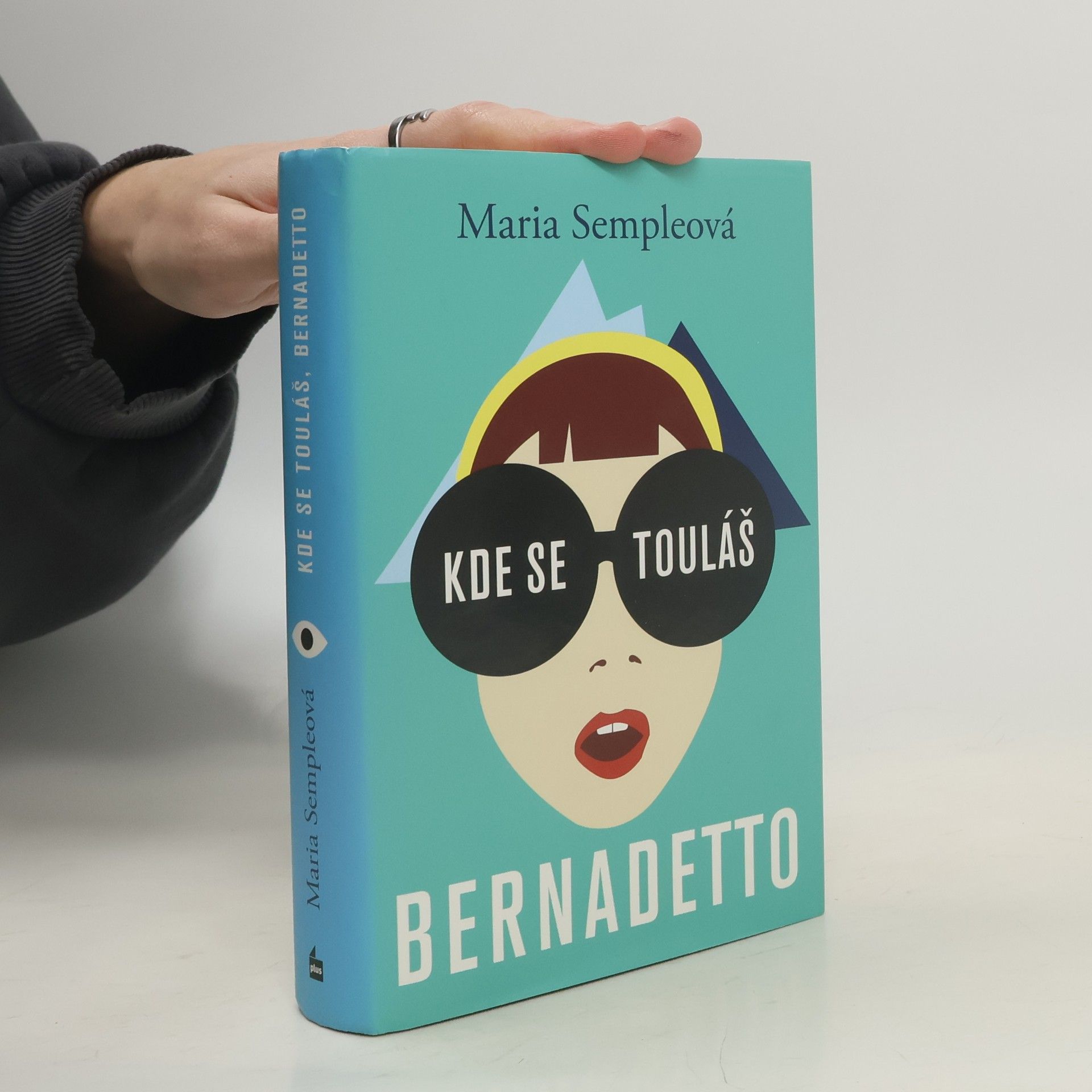 Maria Semple Kde se touláš, Bernadetto