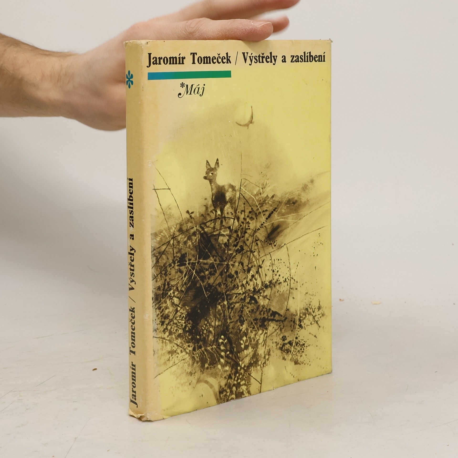 Jaromír Tomeček Výstřely a zaslíbení