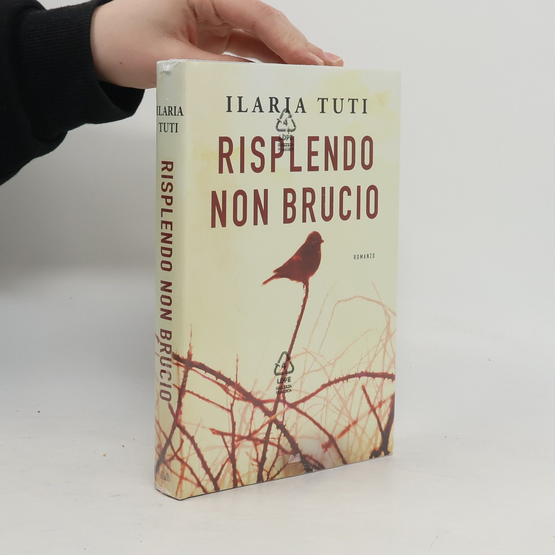 Ilaria Tuti Risplendo non brucio