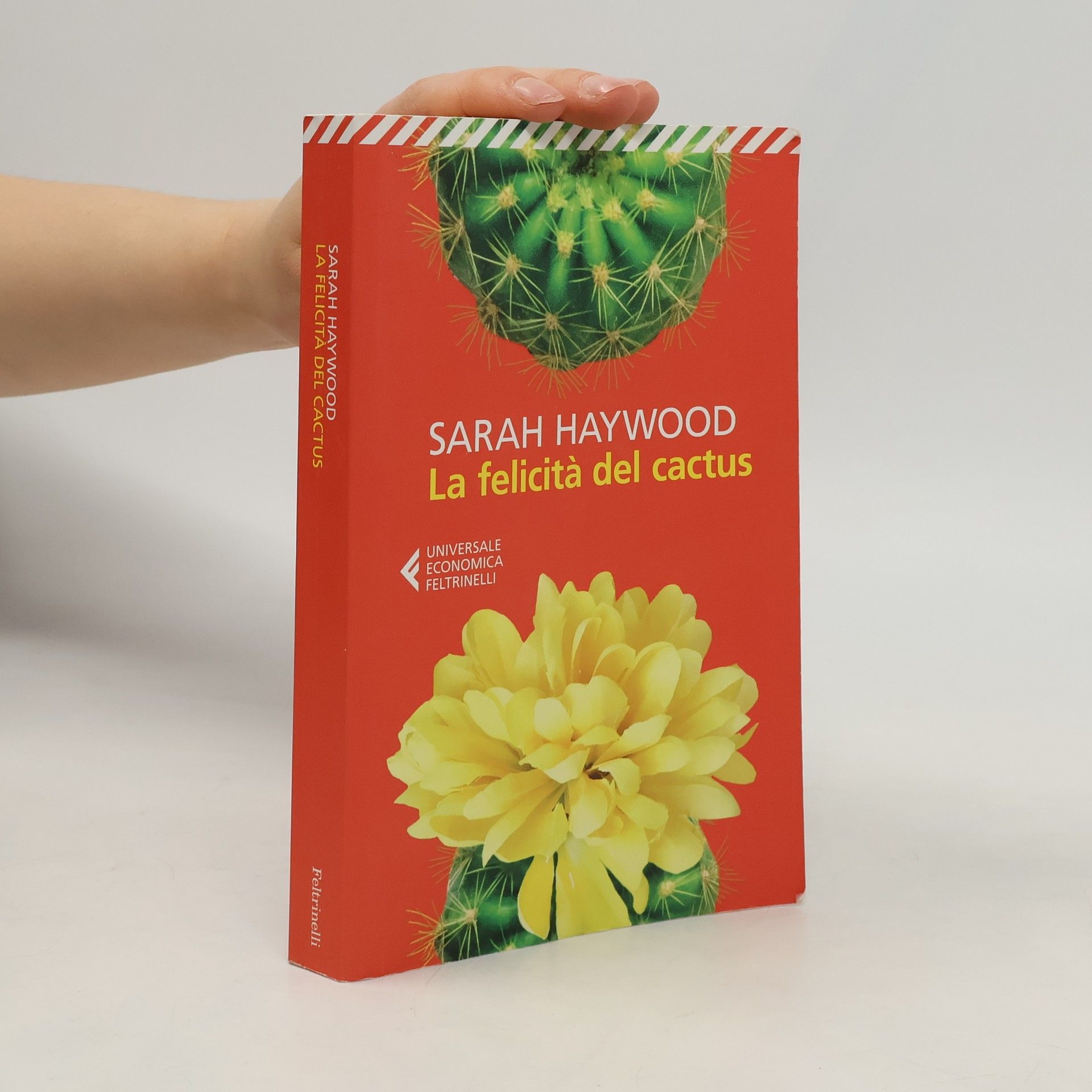 Sarah Haywood La felicità del cactus