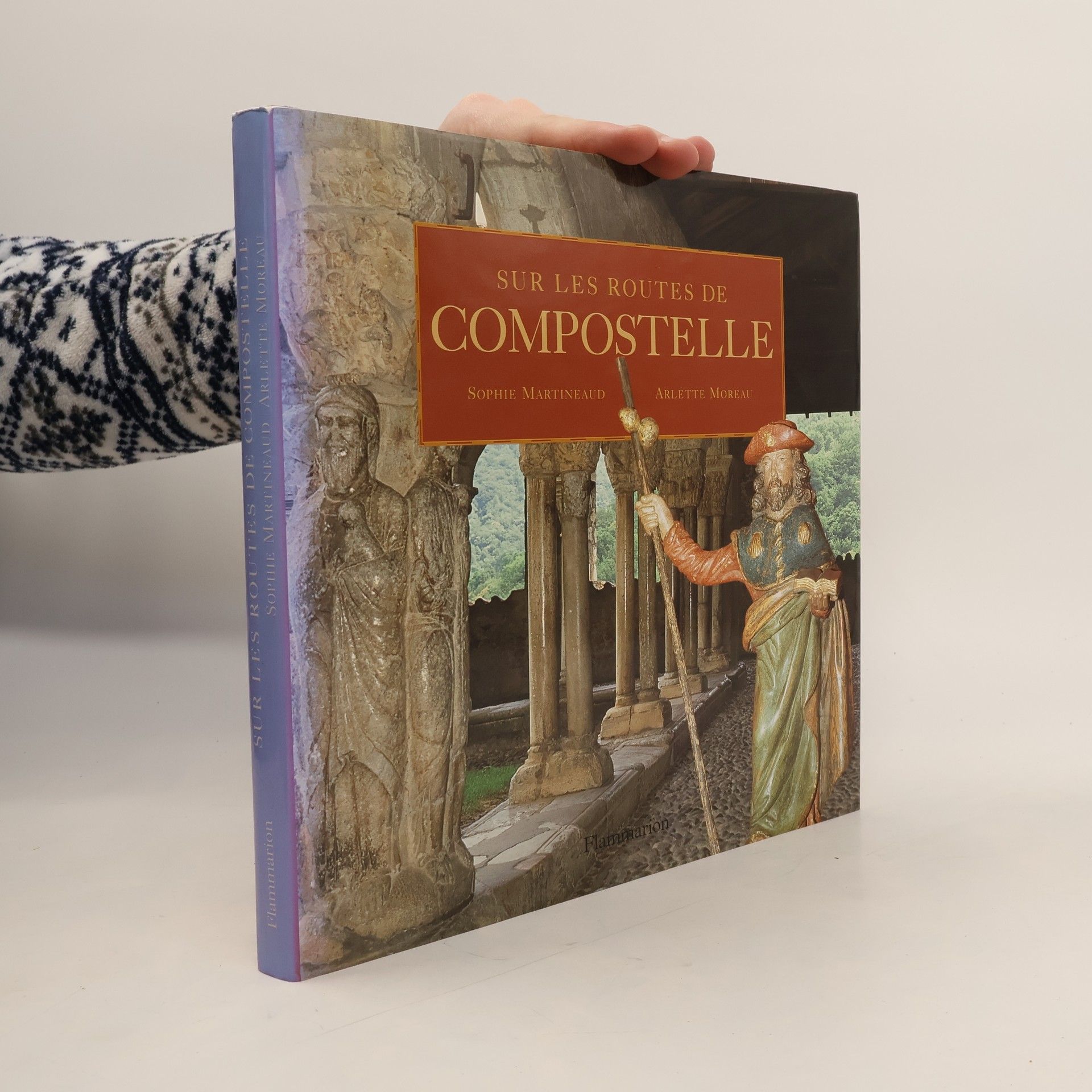 Sophie Martineaud Sur les routes de Compostelle