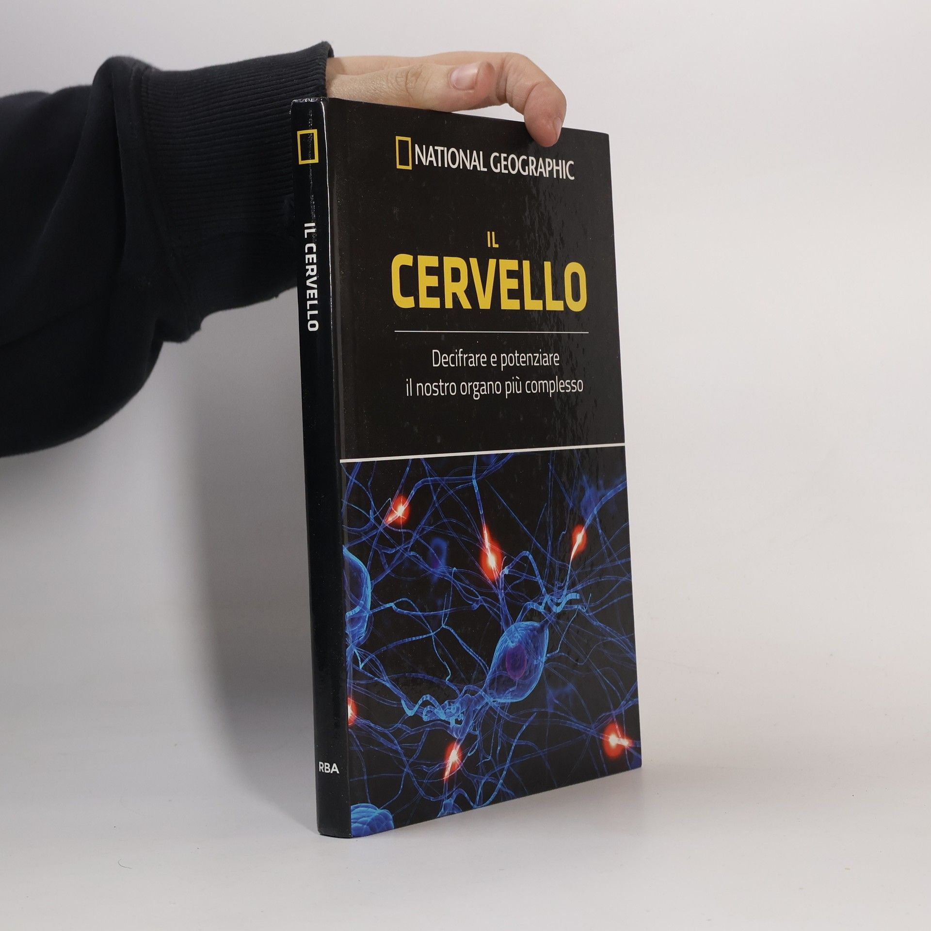 Collectif d'auteurs Il cervello