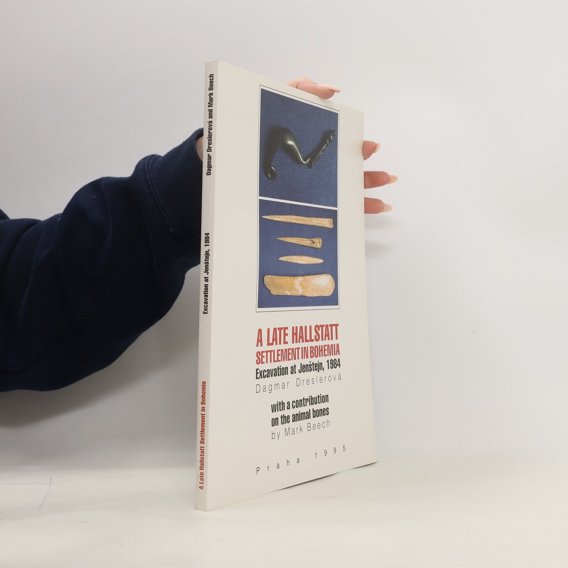 A Late Hallstatt settlement in Bohemia