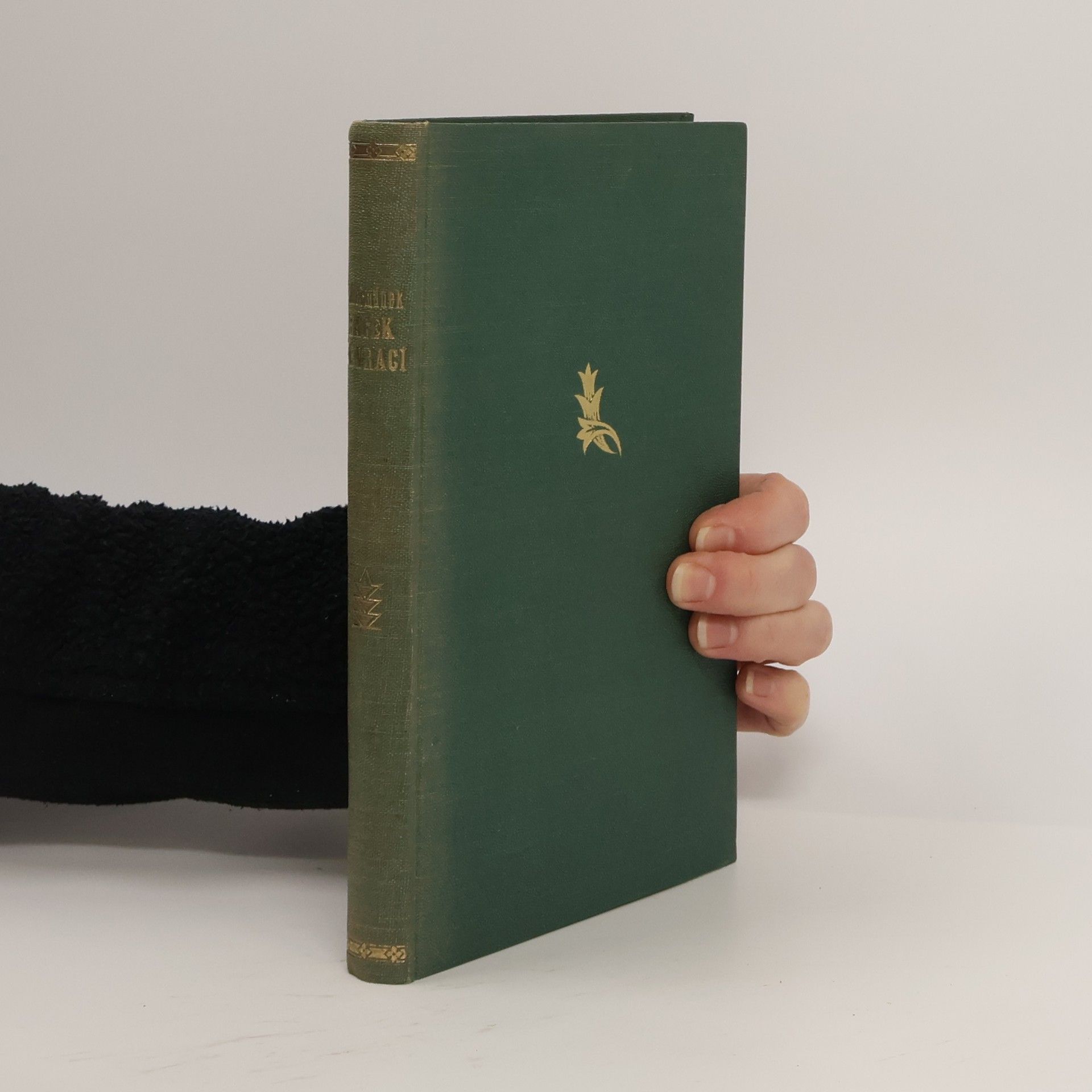 František Heřmánek Racek se vrací