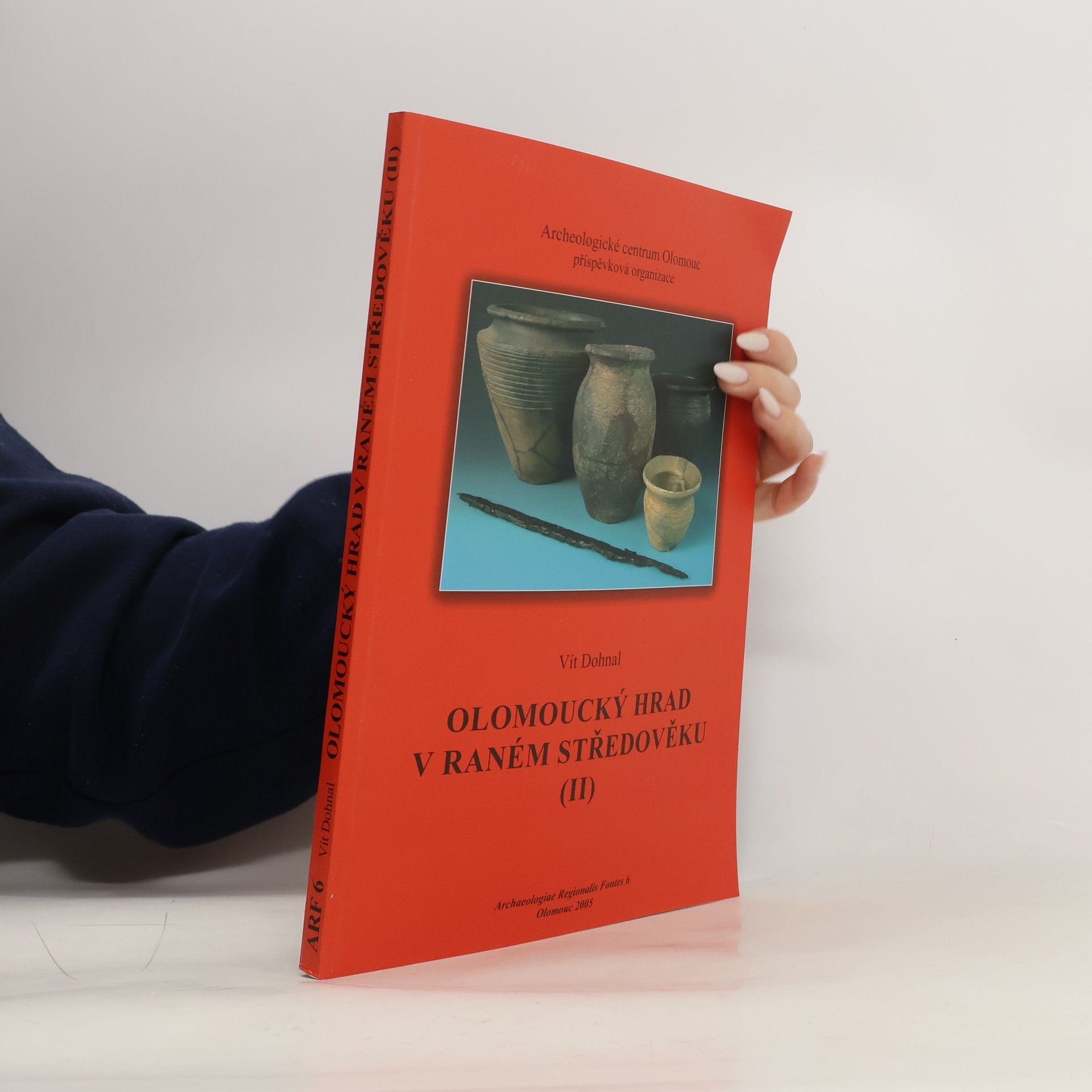 Olomoucký hrad v raném středověku (II)