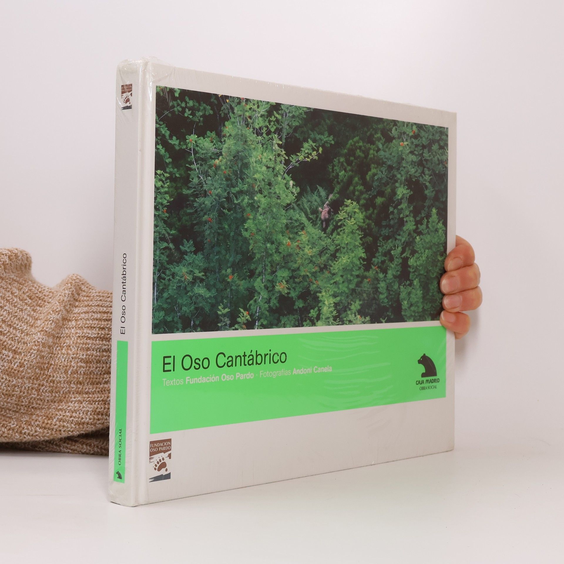 Auteurscollectief El oso cantábrico