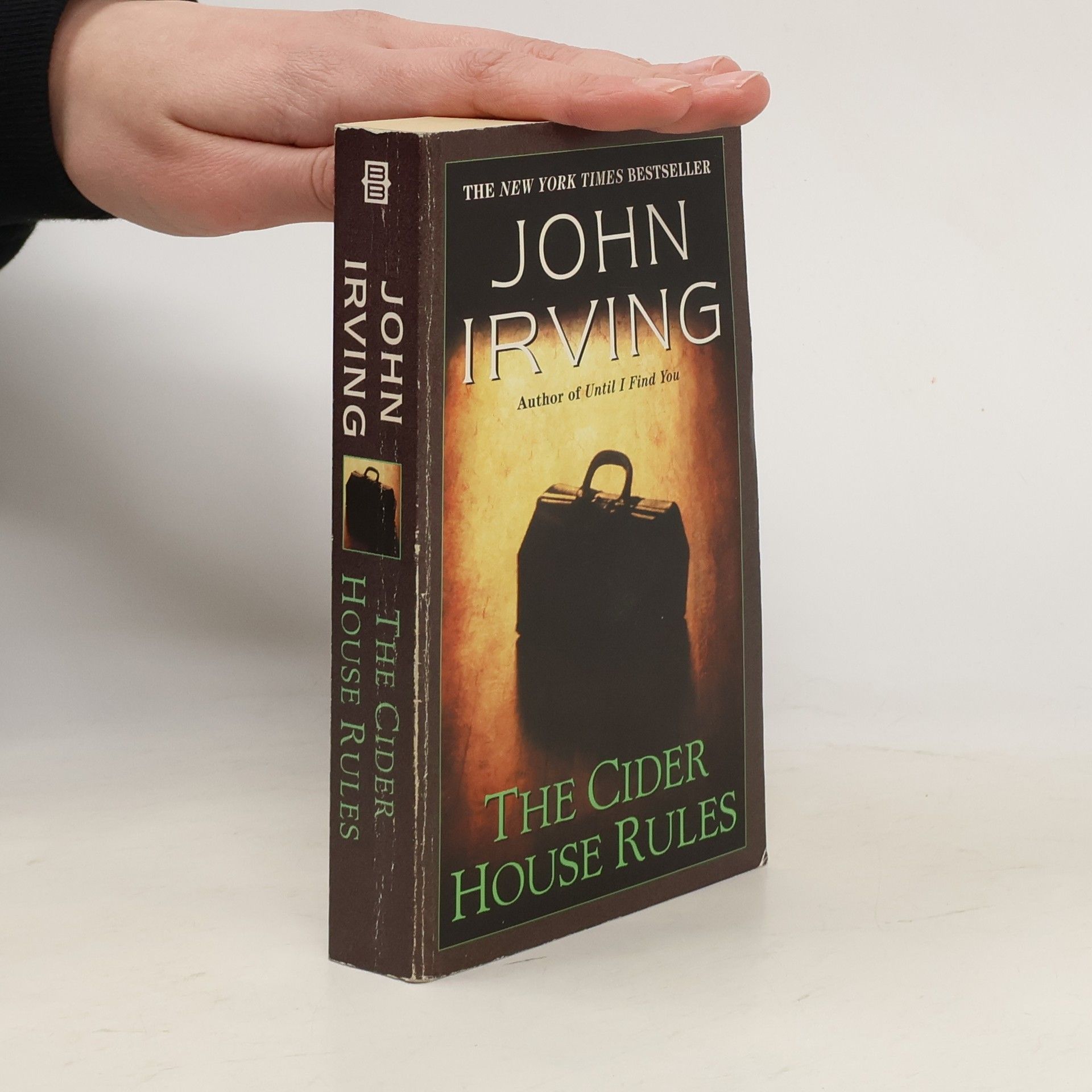 John Irving The Cider House Rules
