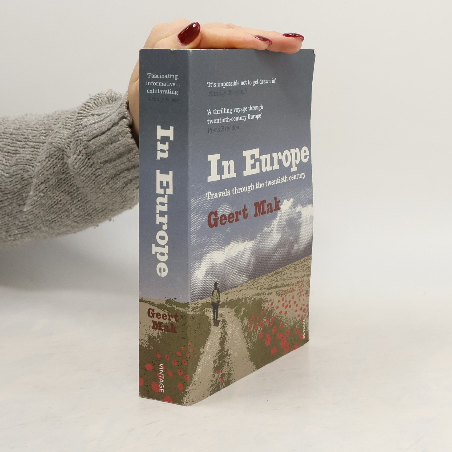 Geert Mak In Europe : travels through the twentieth century