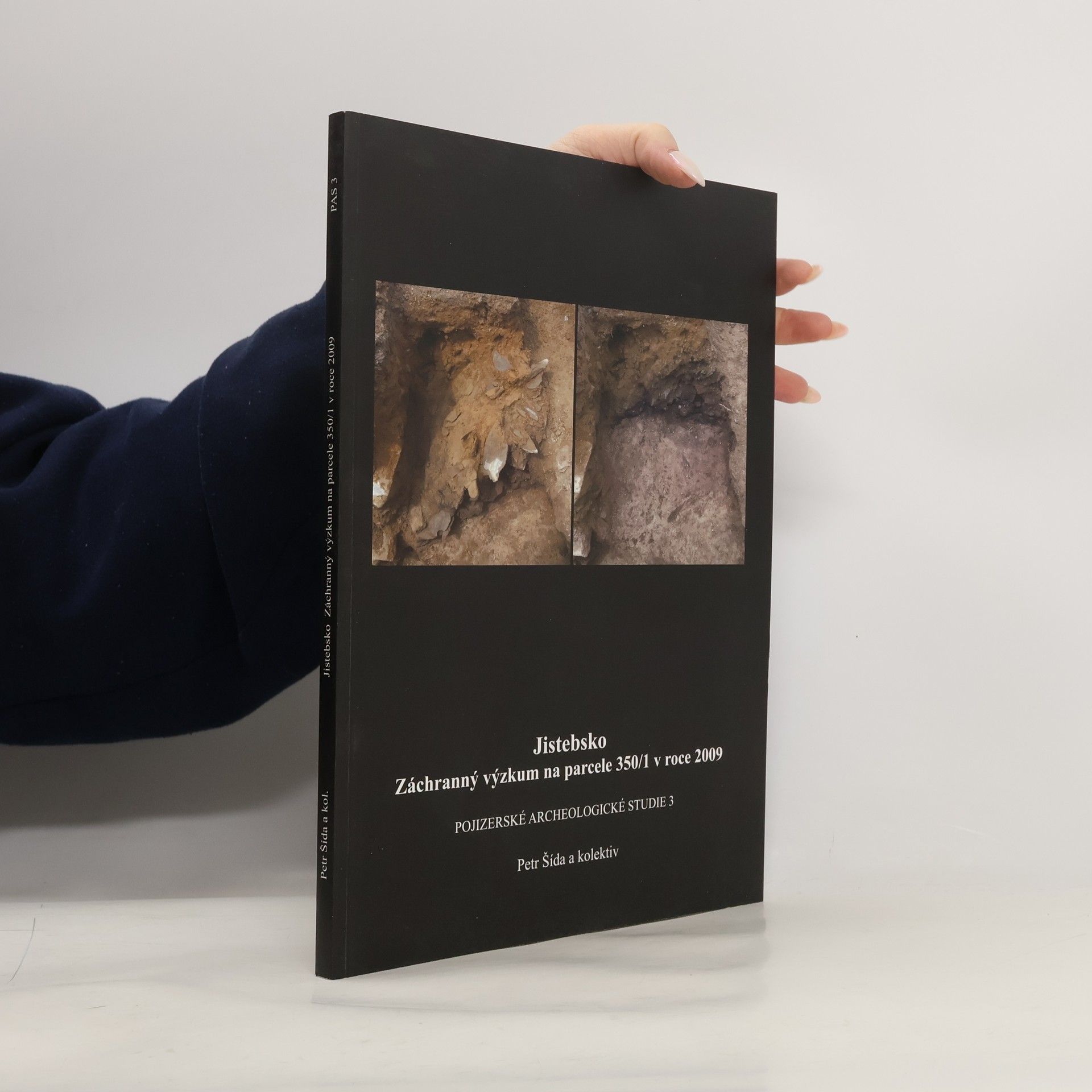 Jistebsko. Záchranný výzkum na parcele 350/1 v roce 2009