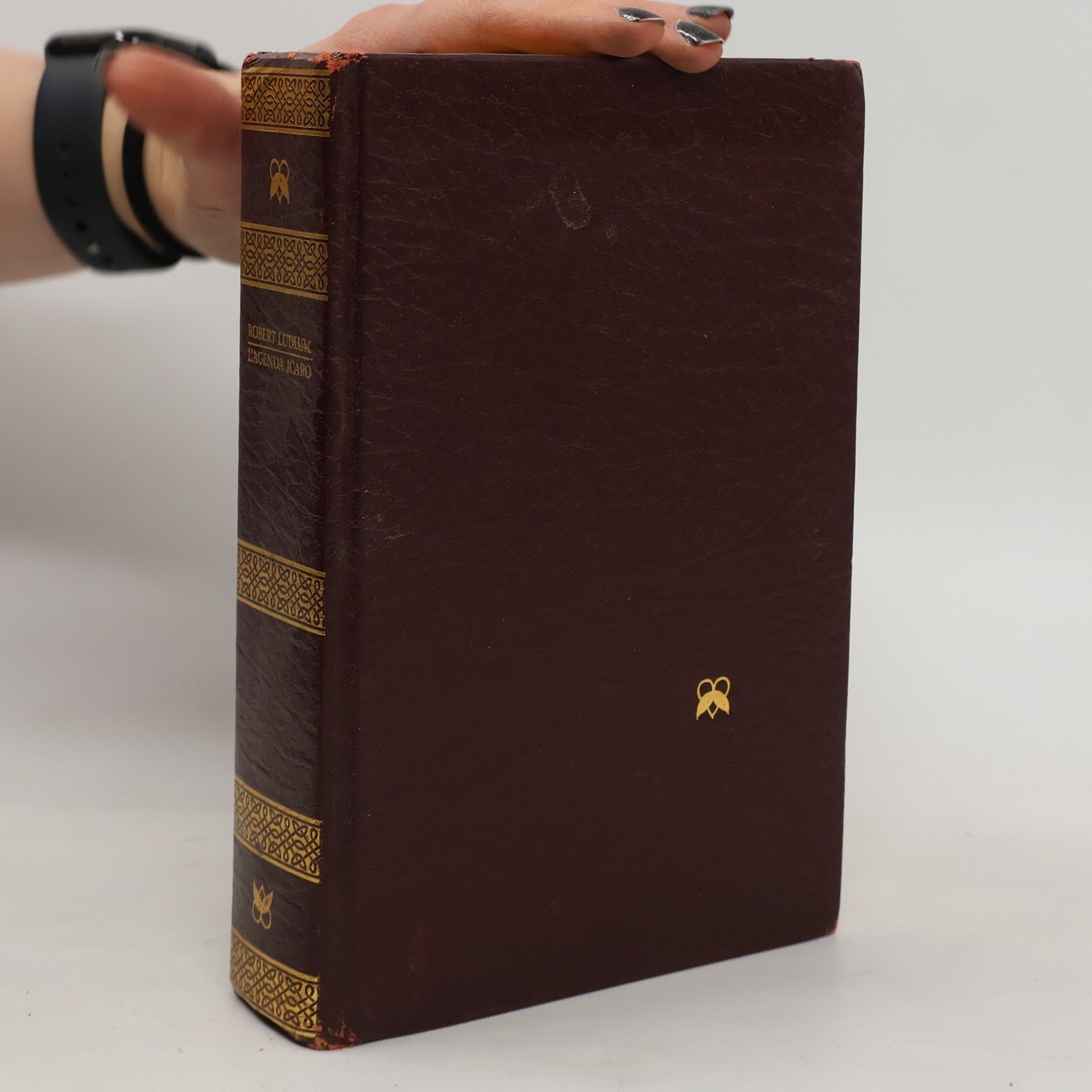 Robert Ludlum L'agenda Icaro