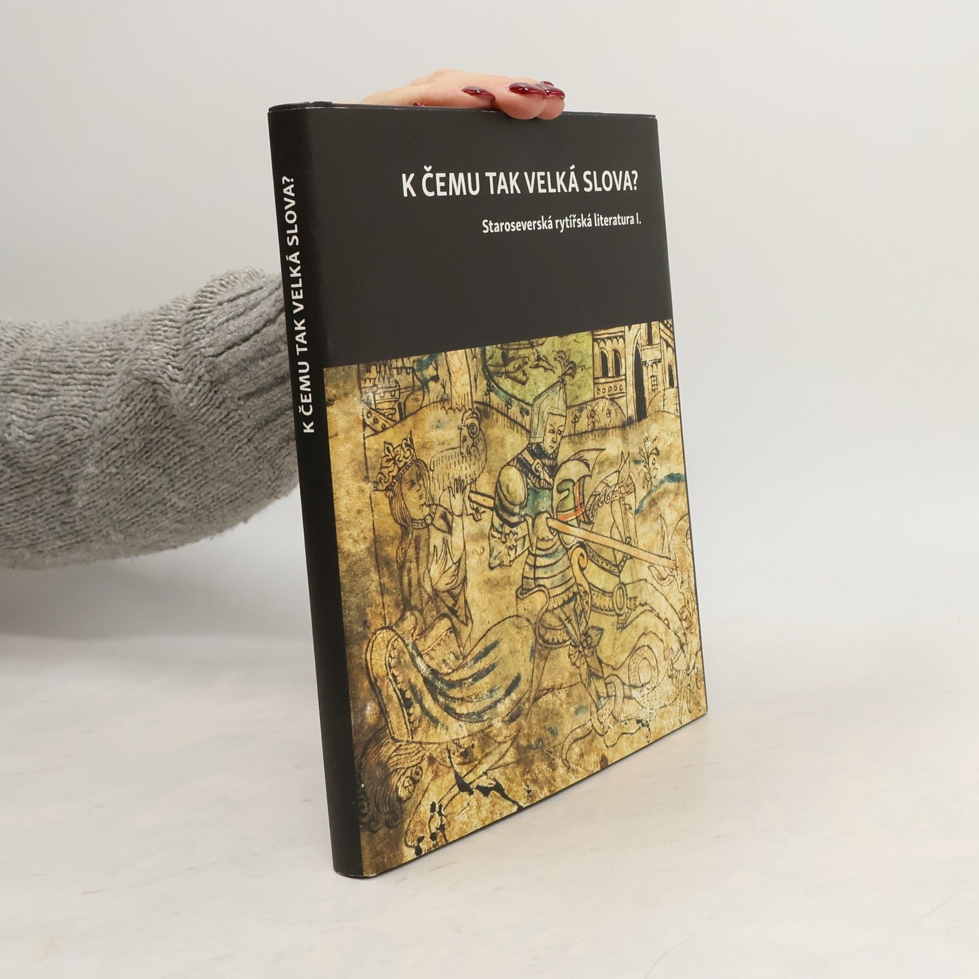 Collectif d'auteurs K čemu tak velká slova? Staroseverská rytířská literatura I.