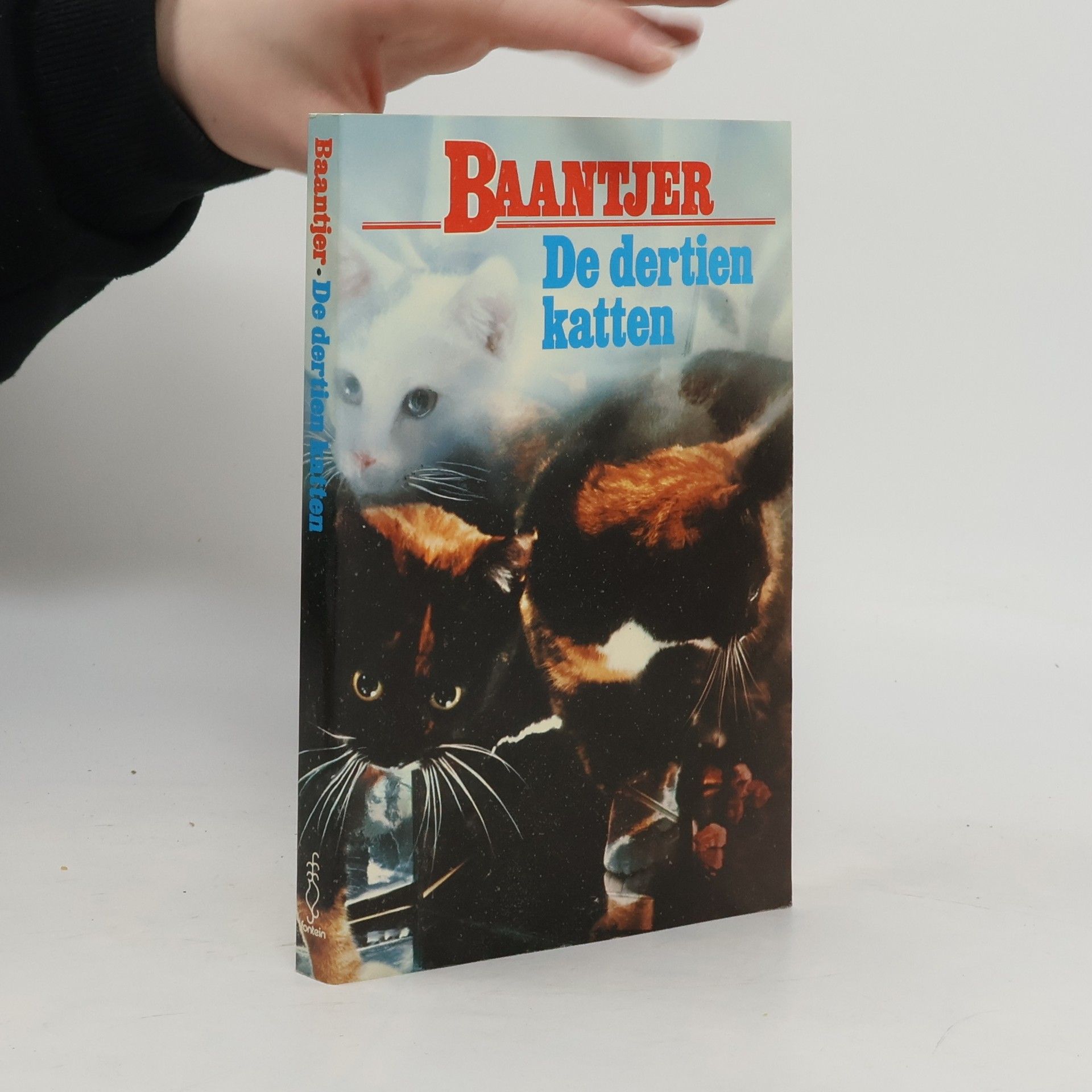 Albert C. Baantjer De dertien katten