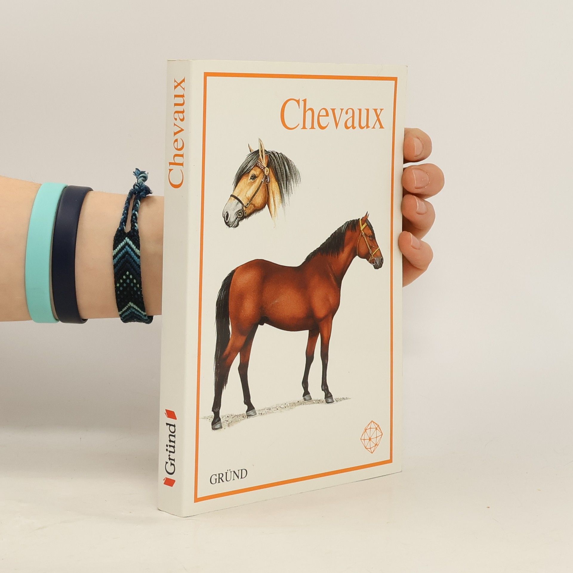 Kolektiv autorů Chevaux