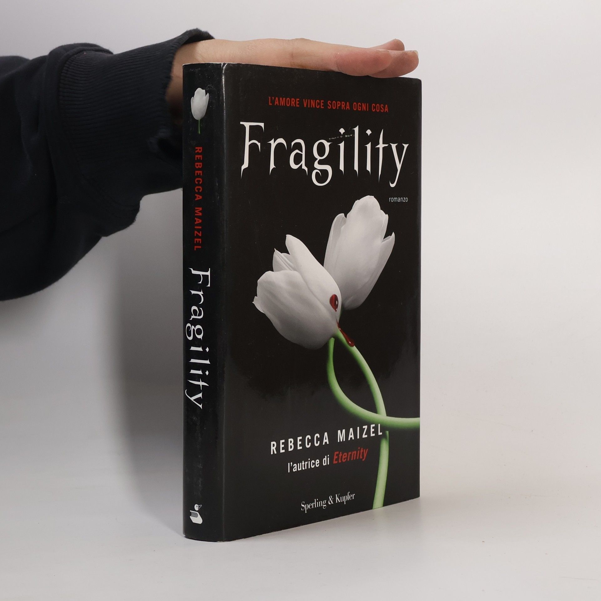 Rebecca Maizel Fragility
