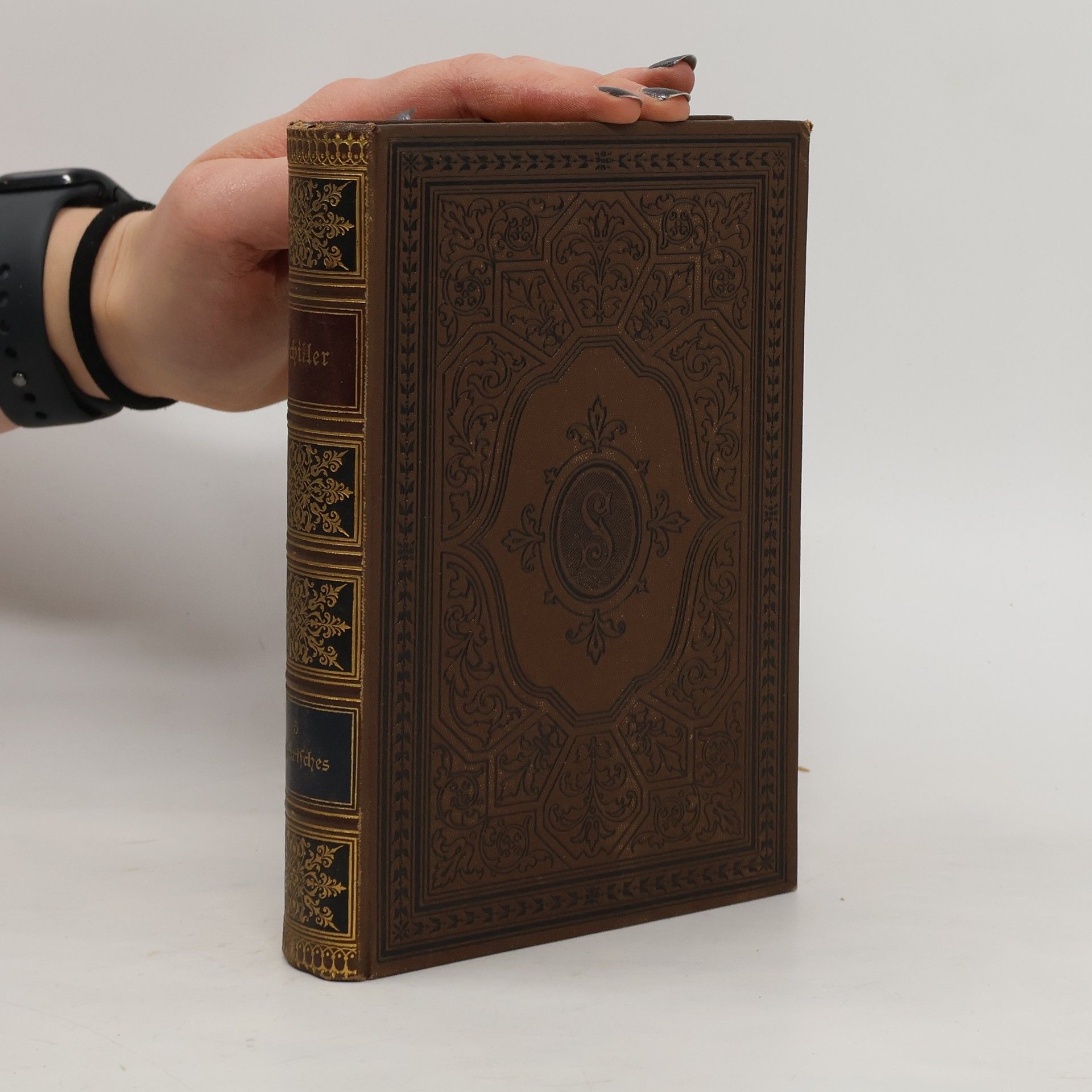 Heinrich Kurz Schillers Werke 5