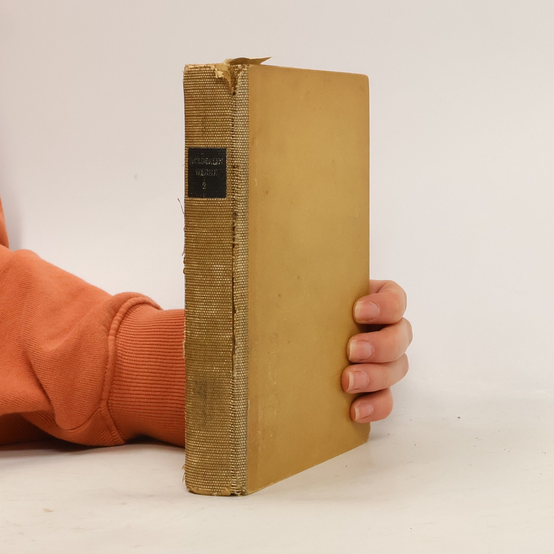 Manfred Schneider Hölderlins Werke 2. Gedichte