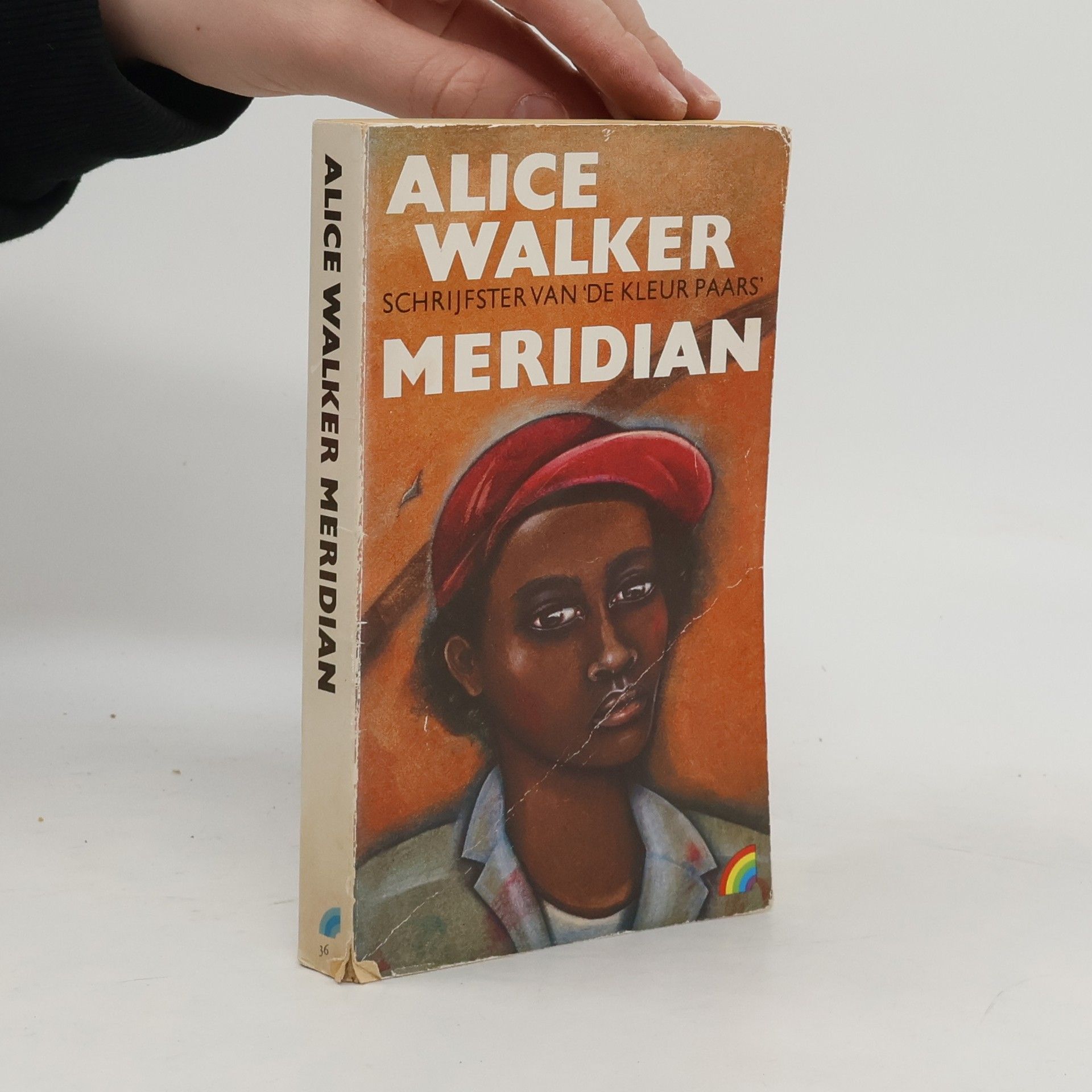 Alice Walker Meridian