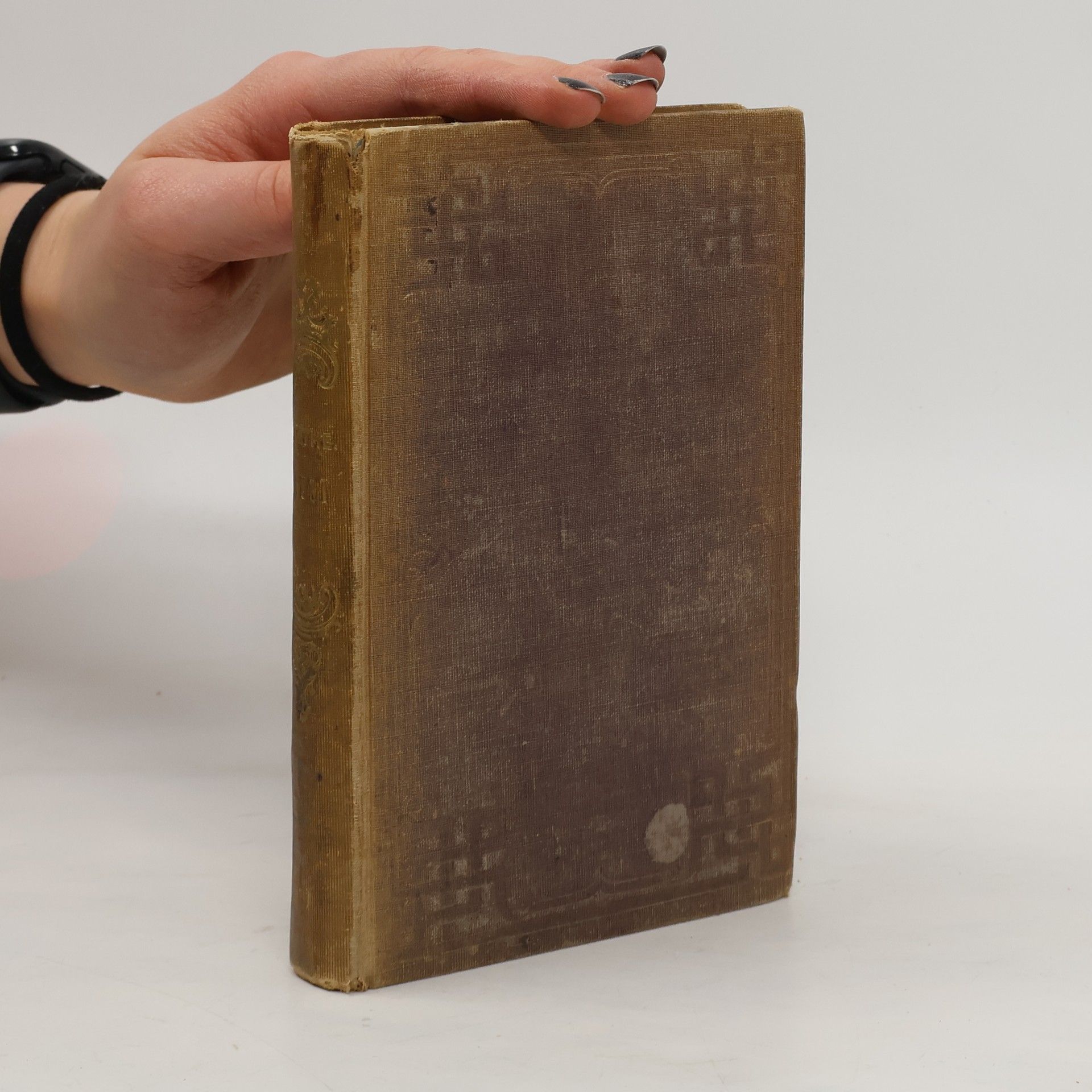 Johann Wolfgang von Goethe Faust