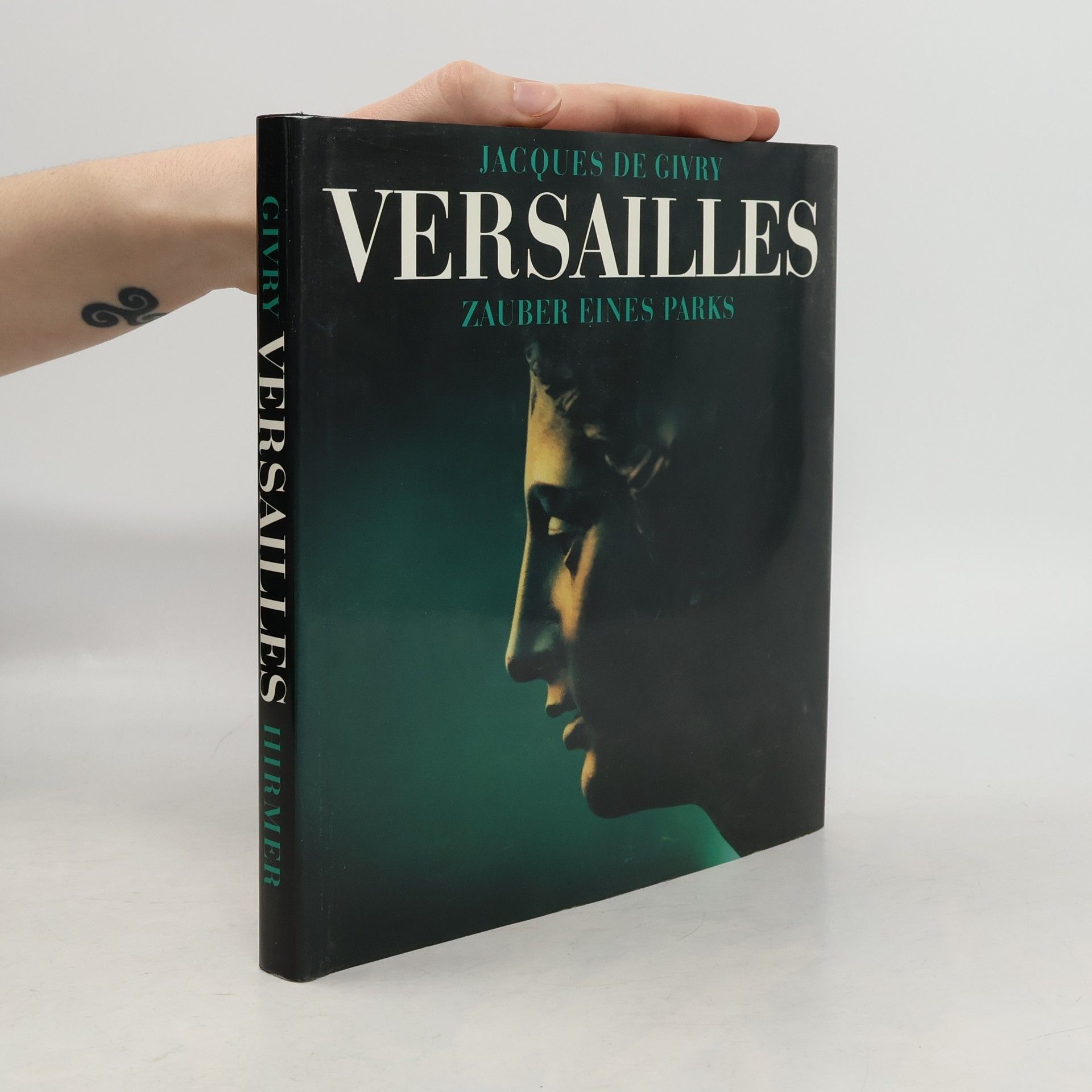 Pierre-Marie Auzas Die Apokalypse von Angers