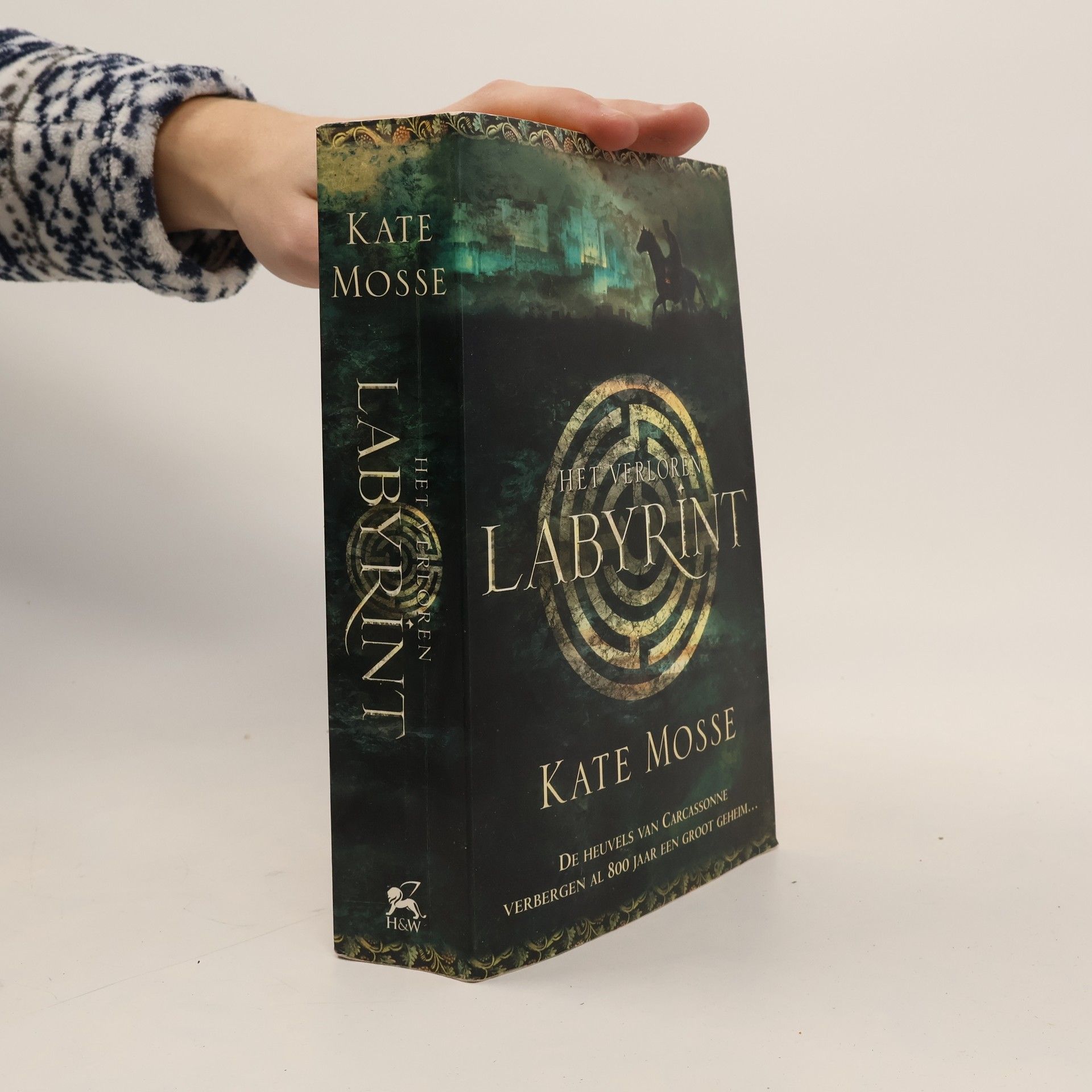 Kate Mosse Languedoc-trilogie - 1: Het verloren labyrint