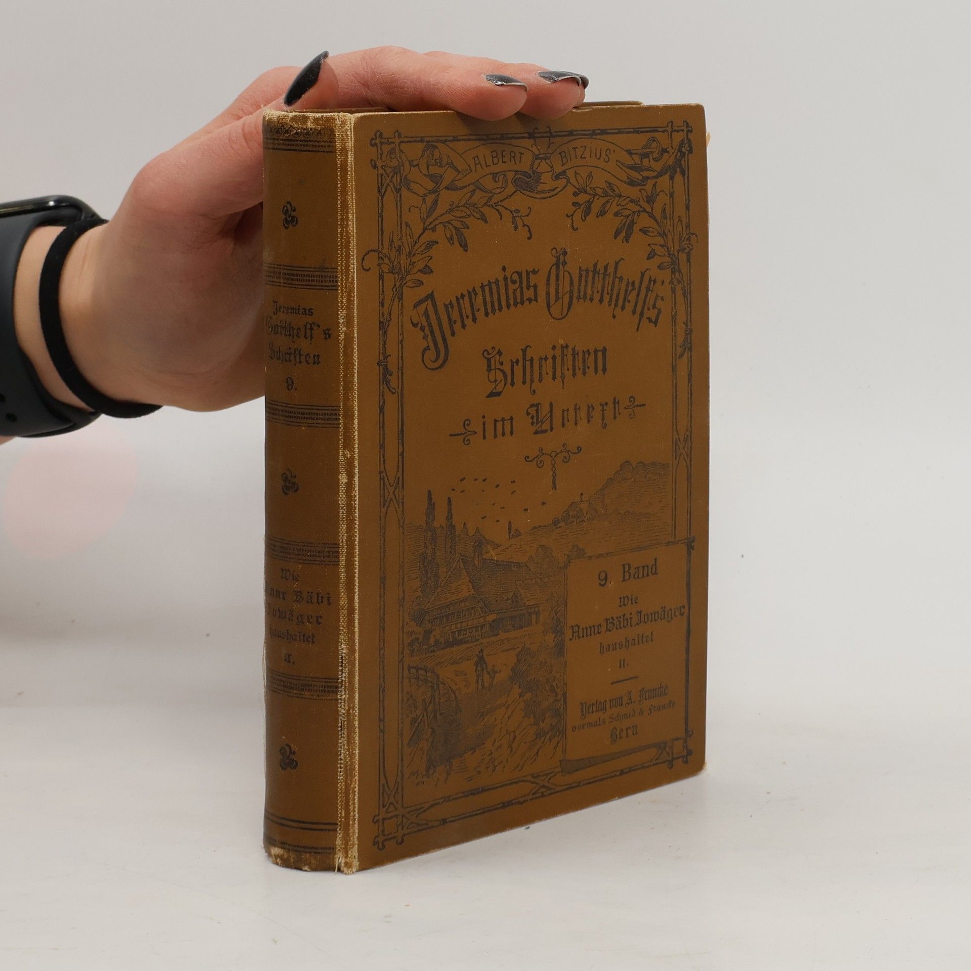 Jeremias Gotthelf Wie Anne Bäbi Jowäger haushaltet und wie es ihm mit dem Doktern geht