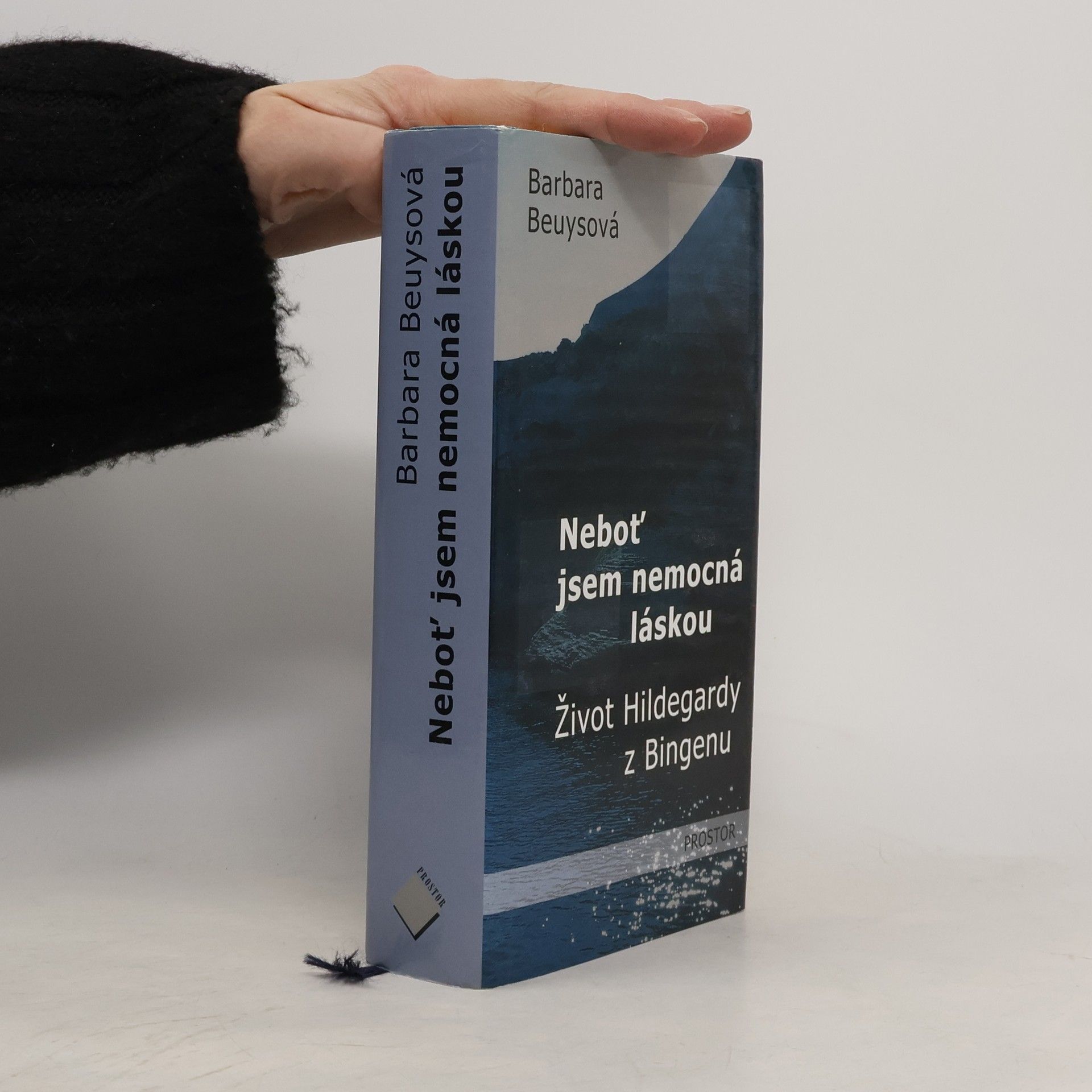 Neboť jsem nemocná láskou. Život Hildegardy z Bingenu