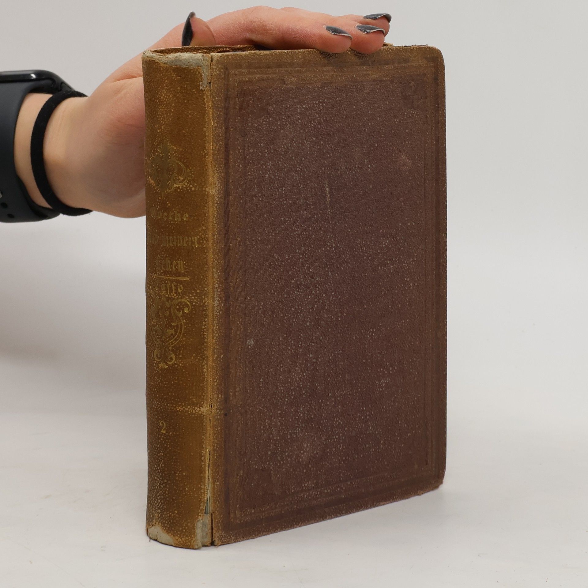 Johann Wolfgang von Goethe Aus meinem Leben II.