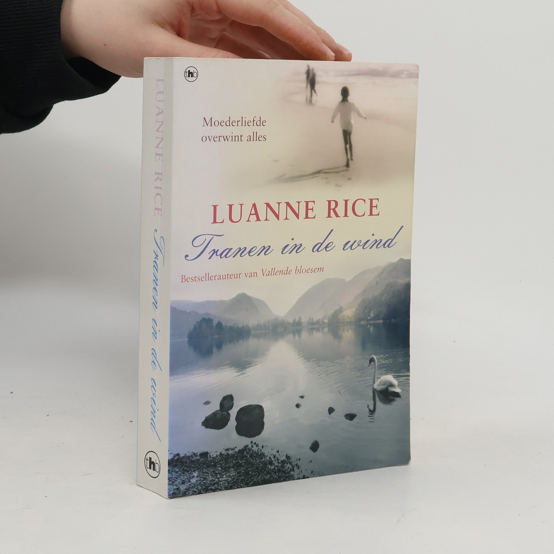 Luanne Rice Tranen in de wind