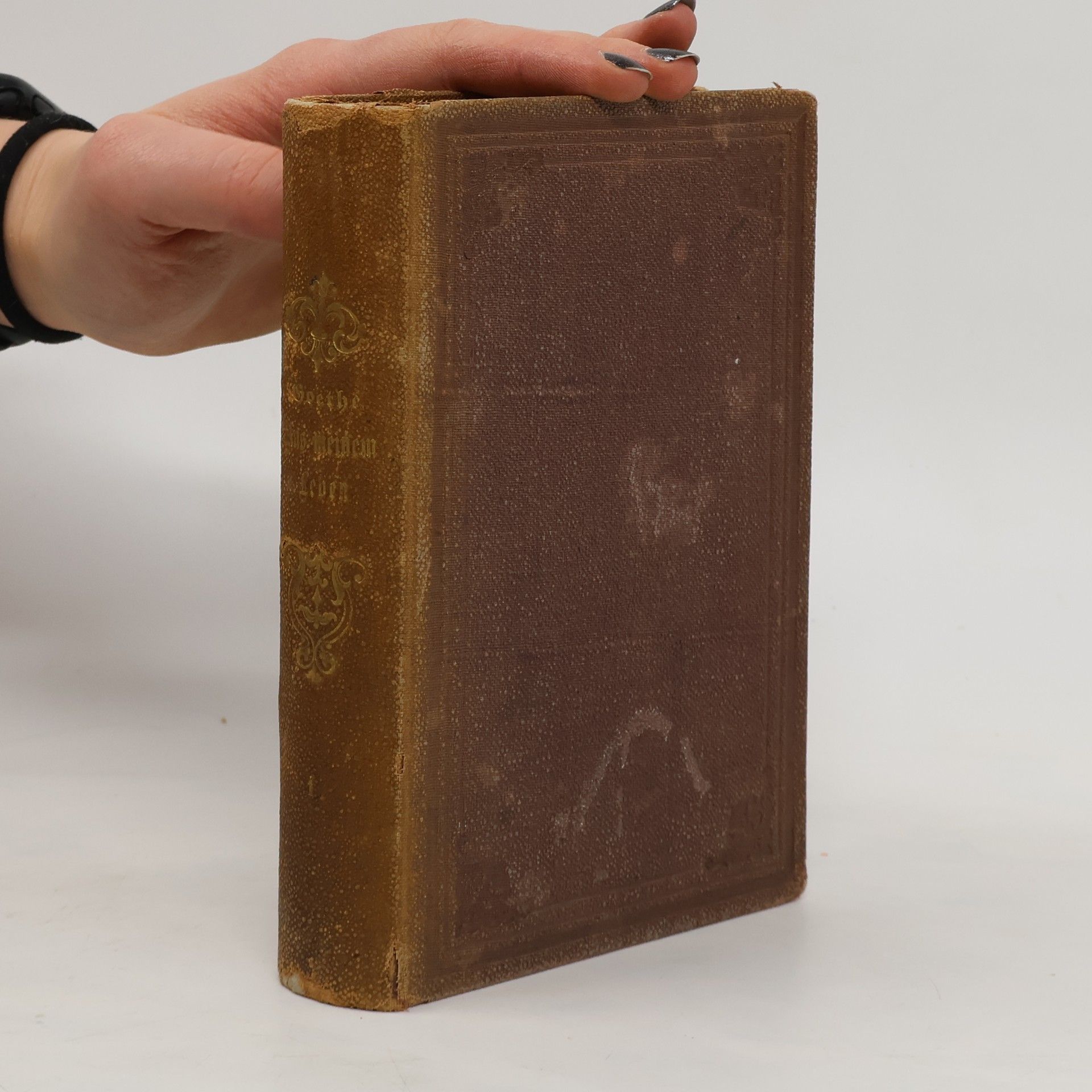 Johann Wolfgang von Goethe Aus meinem Leben I.