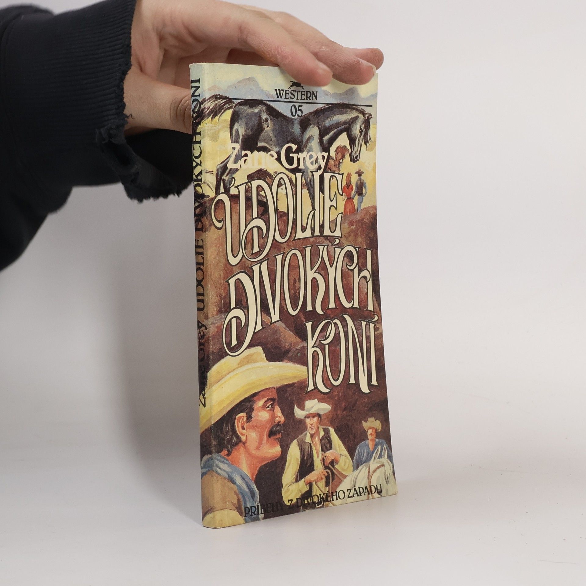 Zane Grey Údolie divokých koní