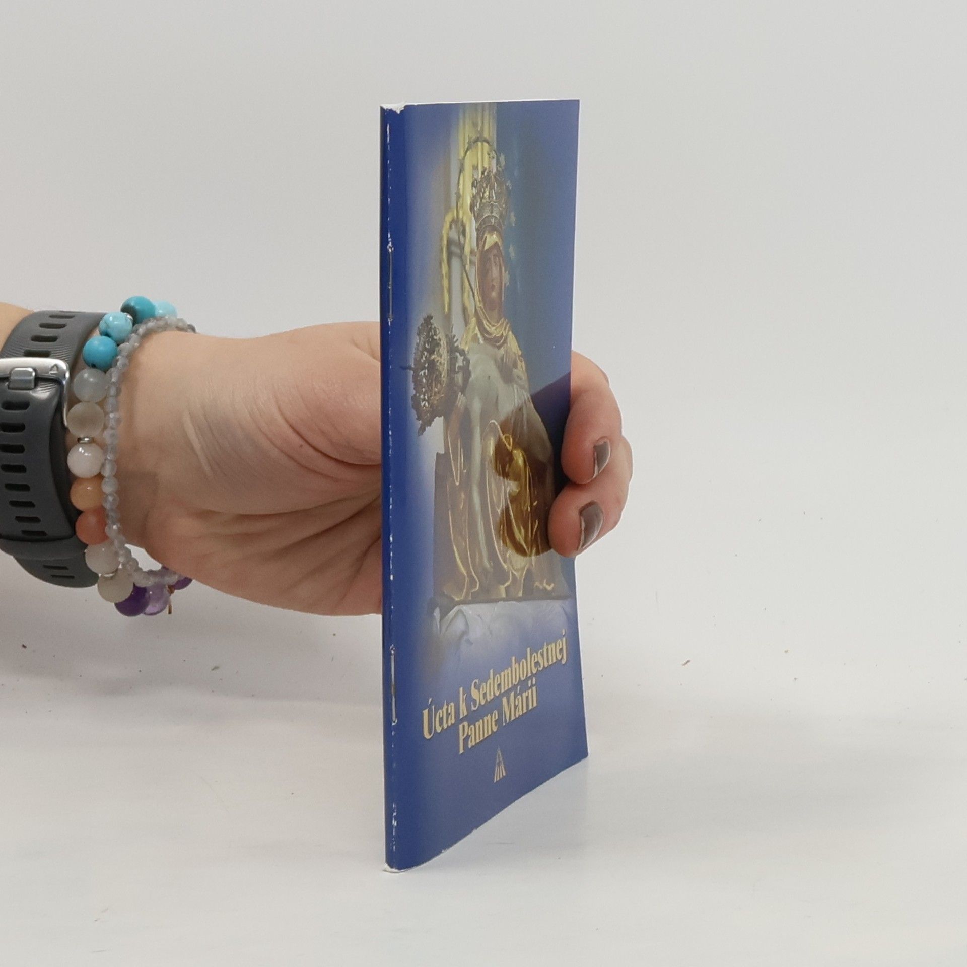 Collectif d'auteurs Úcta k sedmibolestnej Panne Márii