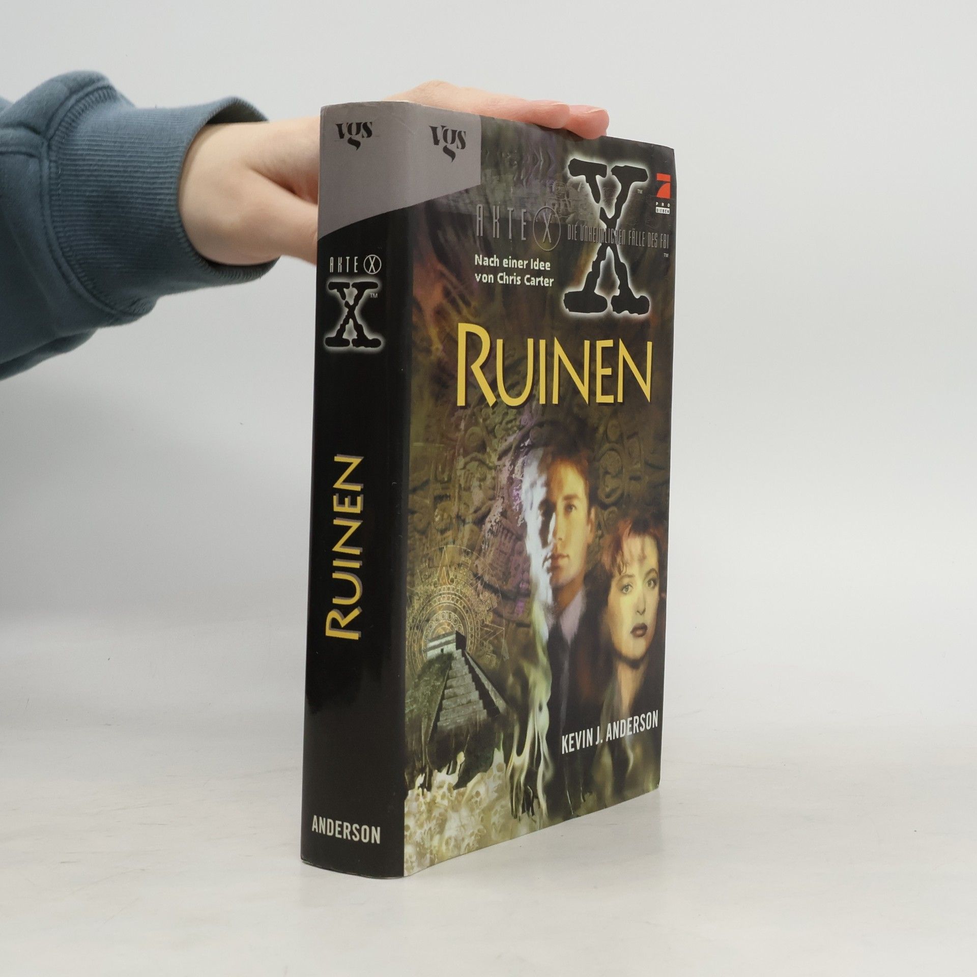 Kevin J. Anderson Akte X - die unheimlichen Fälle des FBI. Ruinen