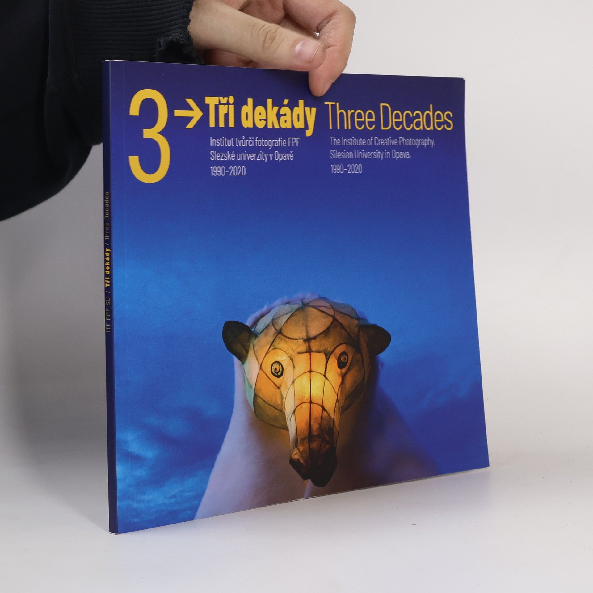 Vladimír Birgus Tři dekády: Institut tvůrčí fotografie FPF Slezské univerzity v Opavě 1990-2020